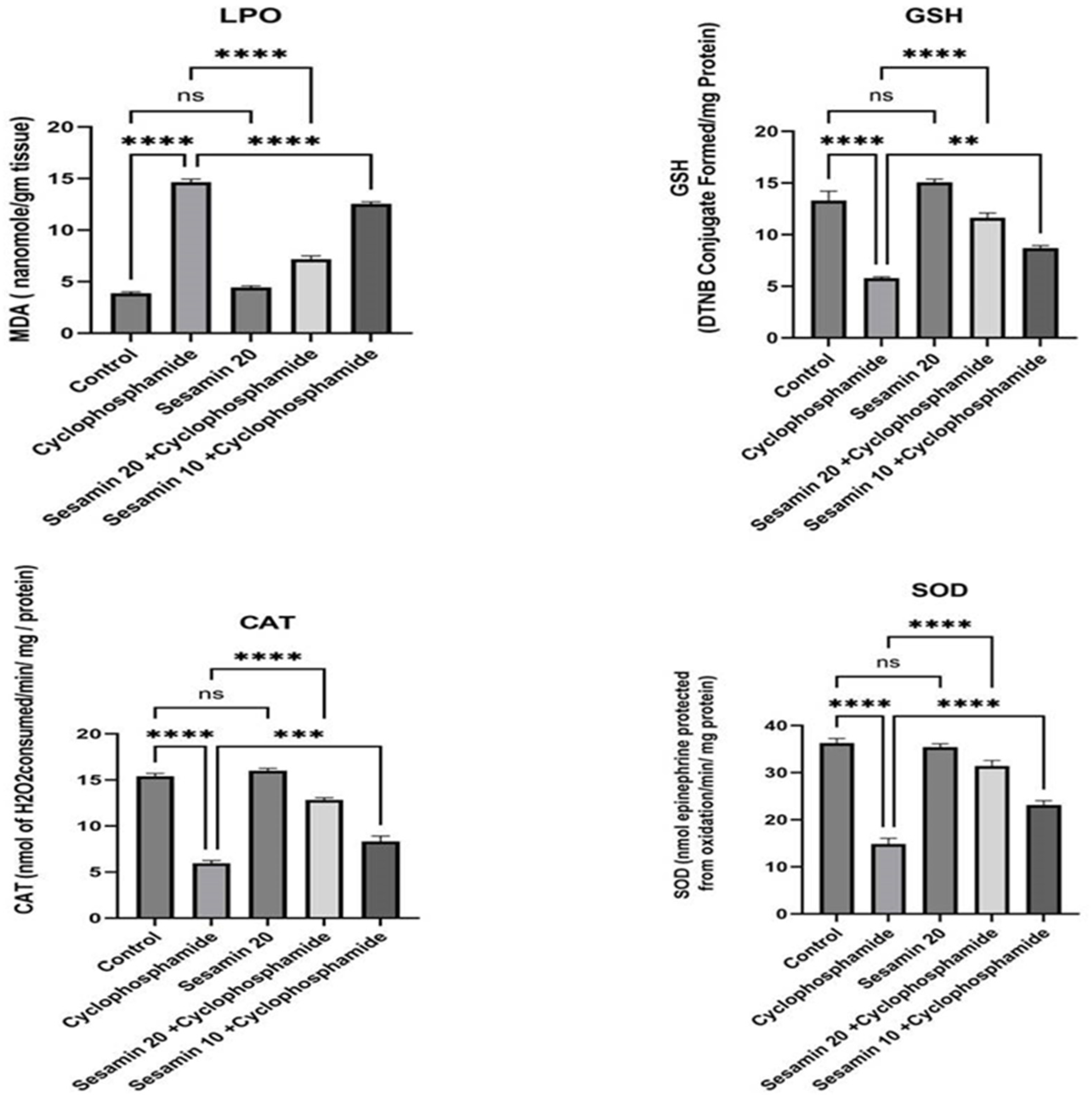 Biomedicines 11 03238 g003