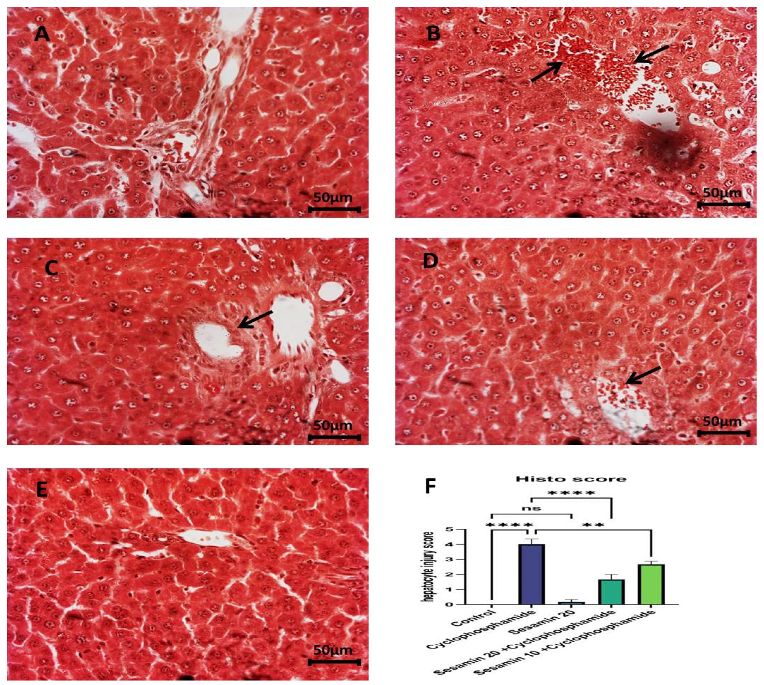 Biomedicines 11 03238 g005