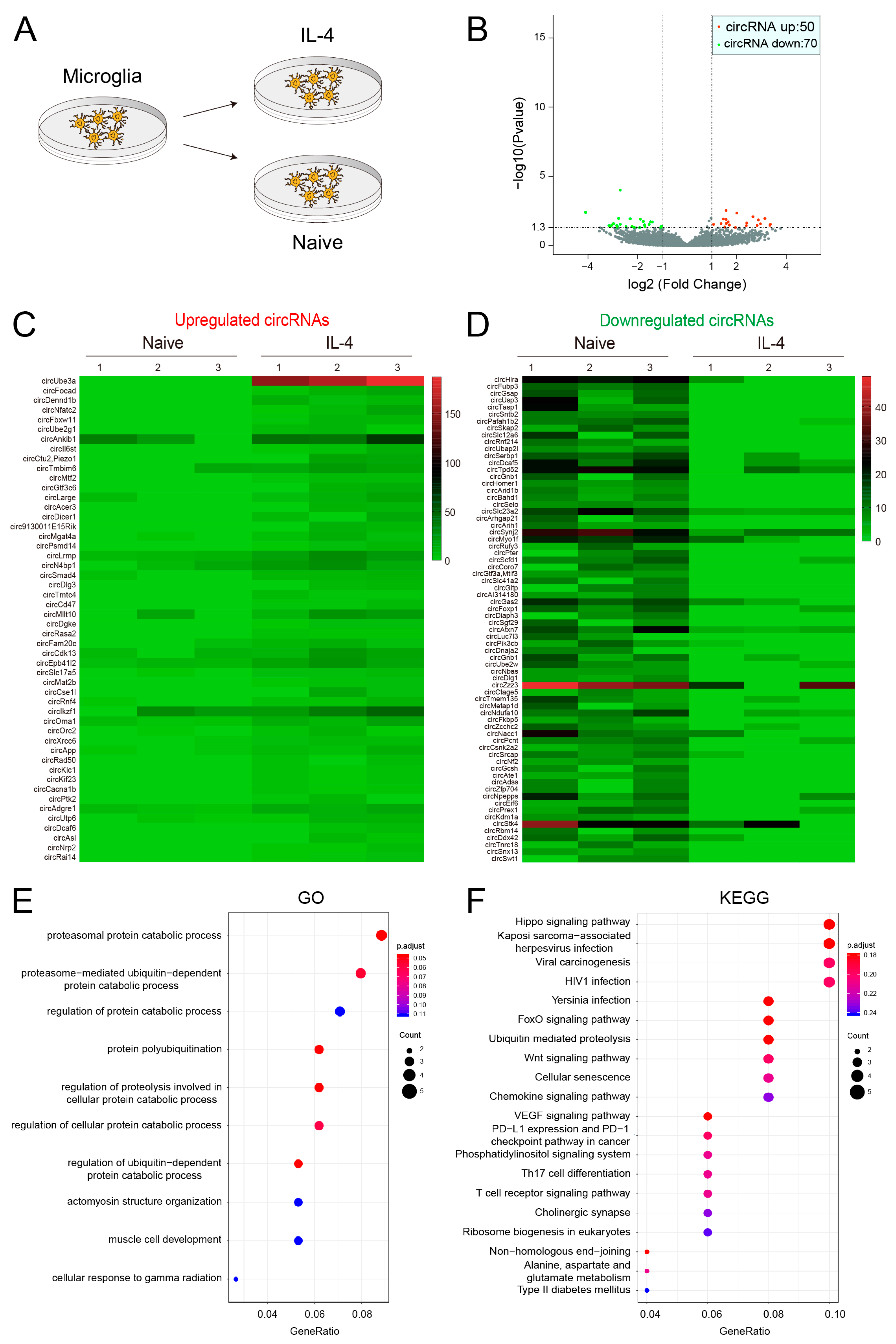 Biomedicines 11 03239 g002