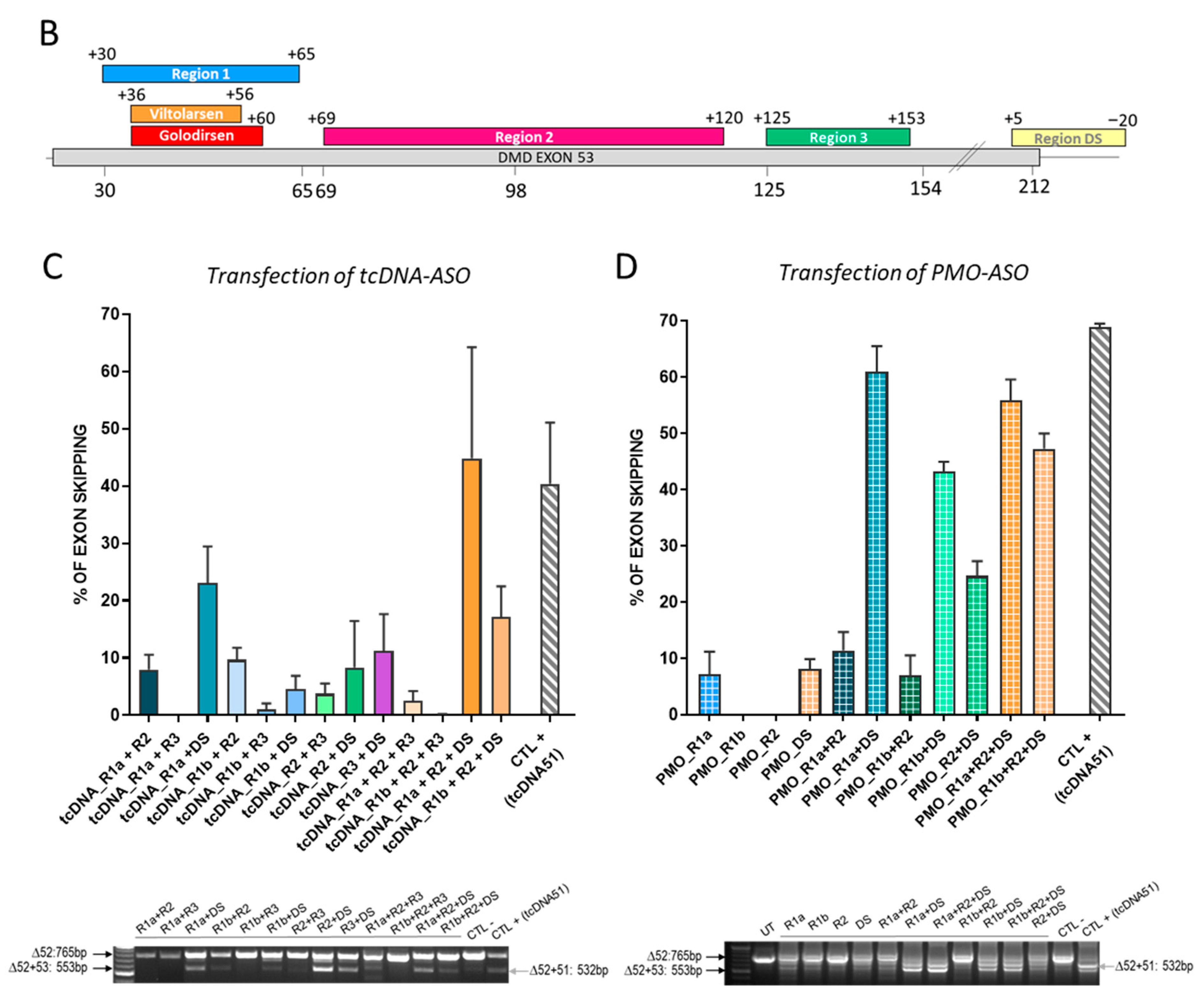 Biomedicines 11 03243 g001b