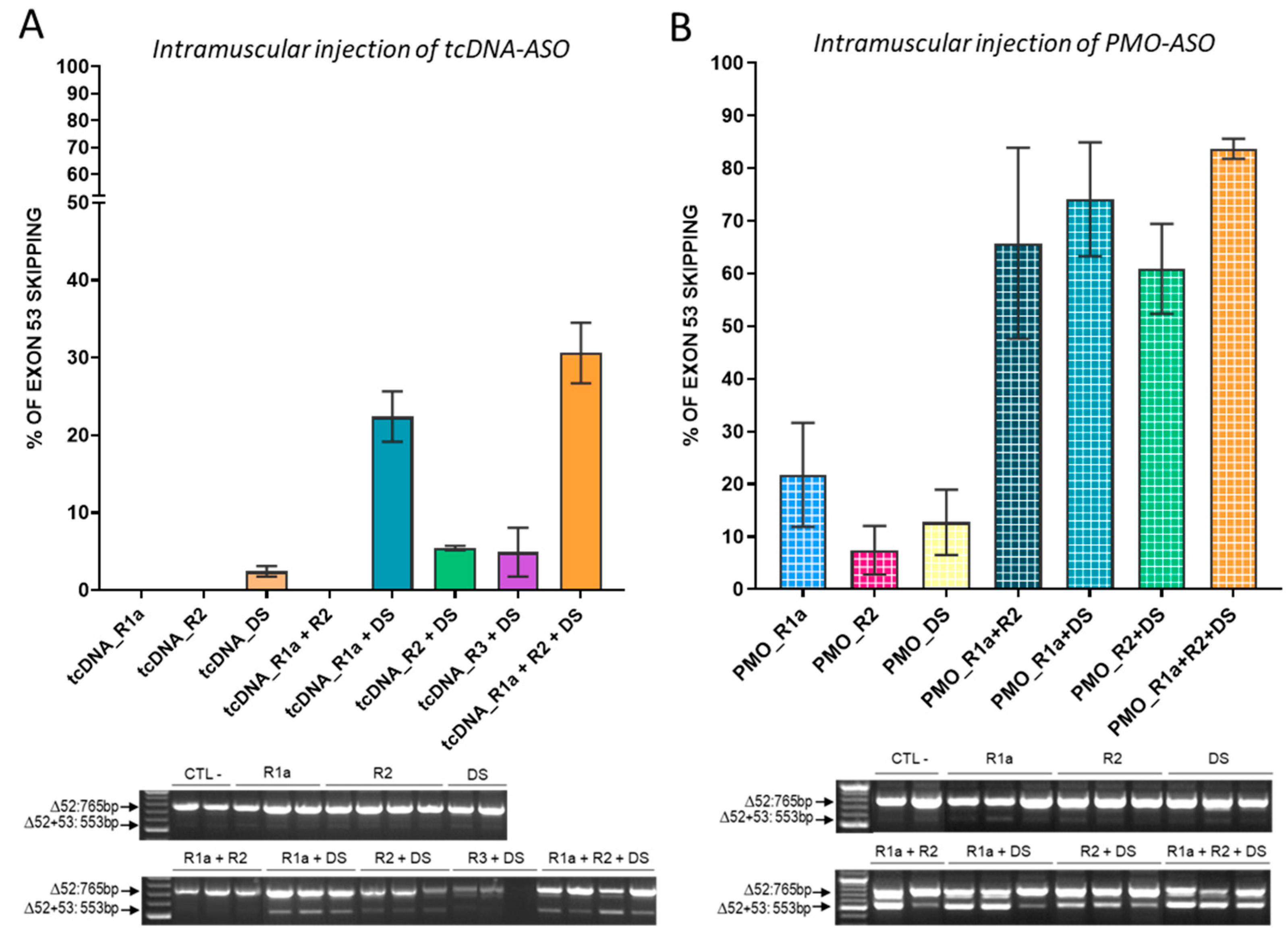 Biomedicines 11 03243 g002
