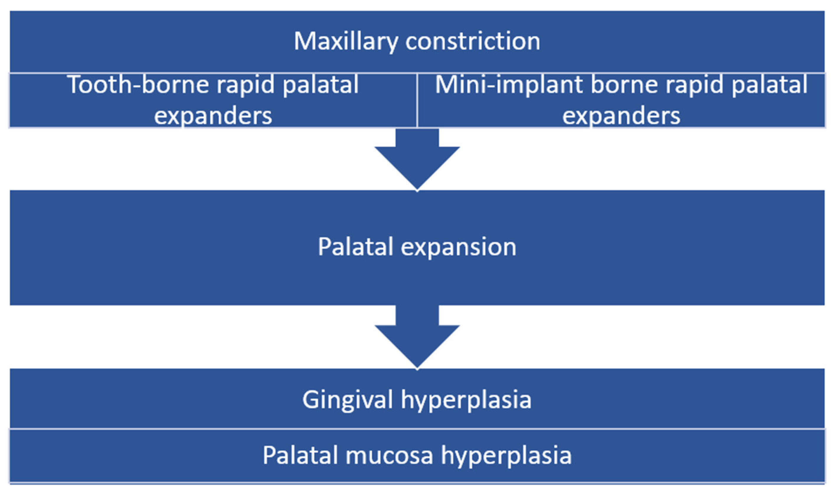 Biomedicines 11 03246 g001 Biomedicines 11 03246 g001