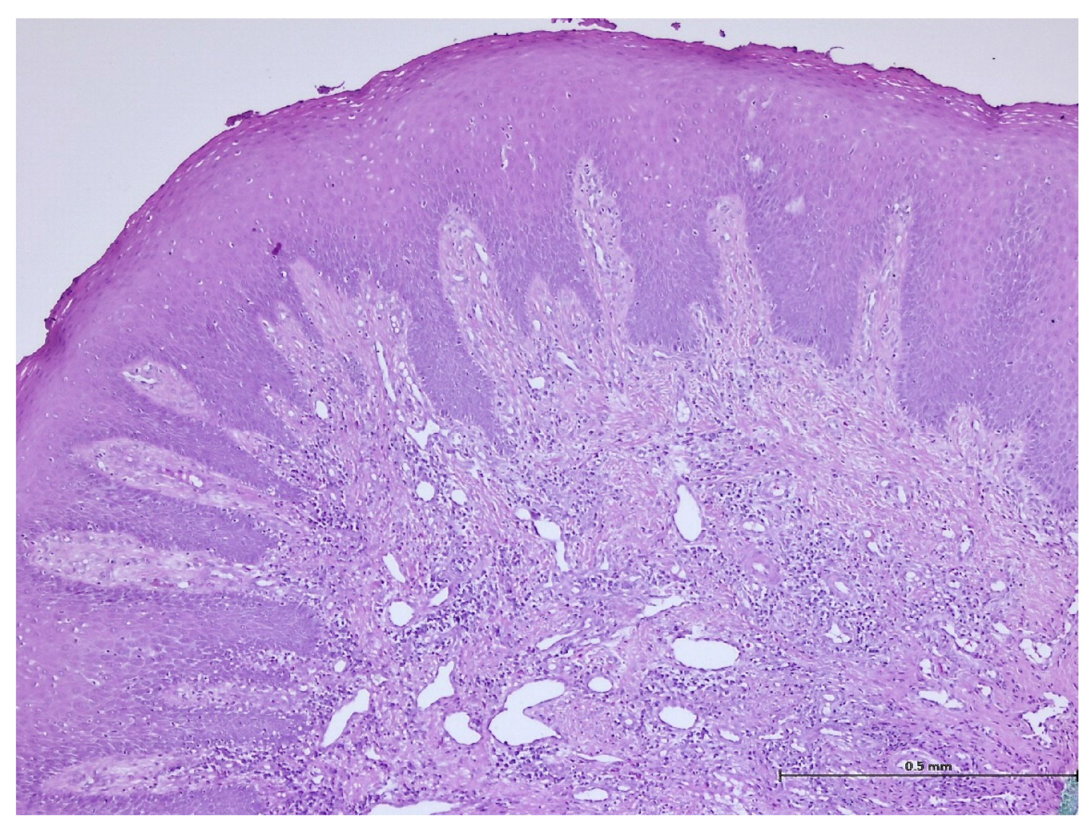 Biomedicines 11 03246 g009 Biomedicines 11 03246 g009