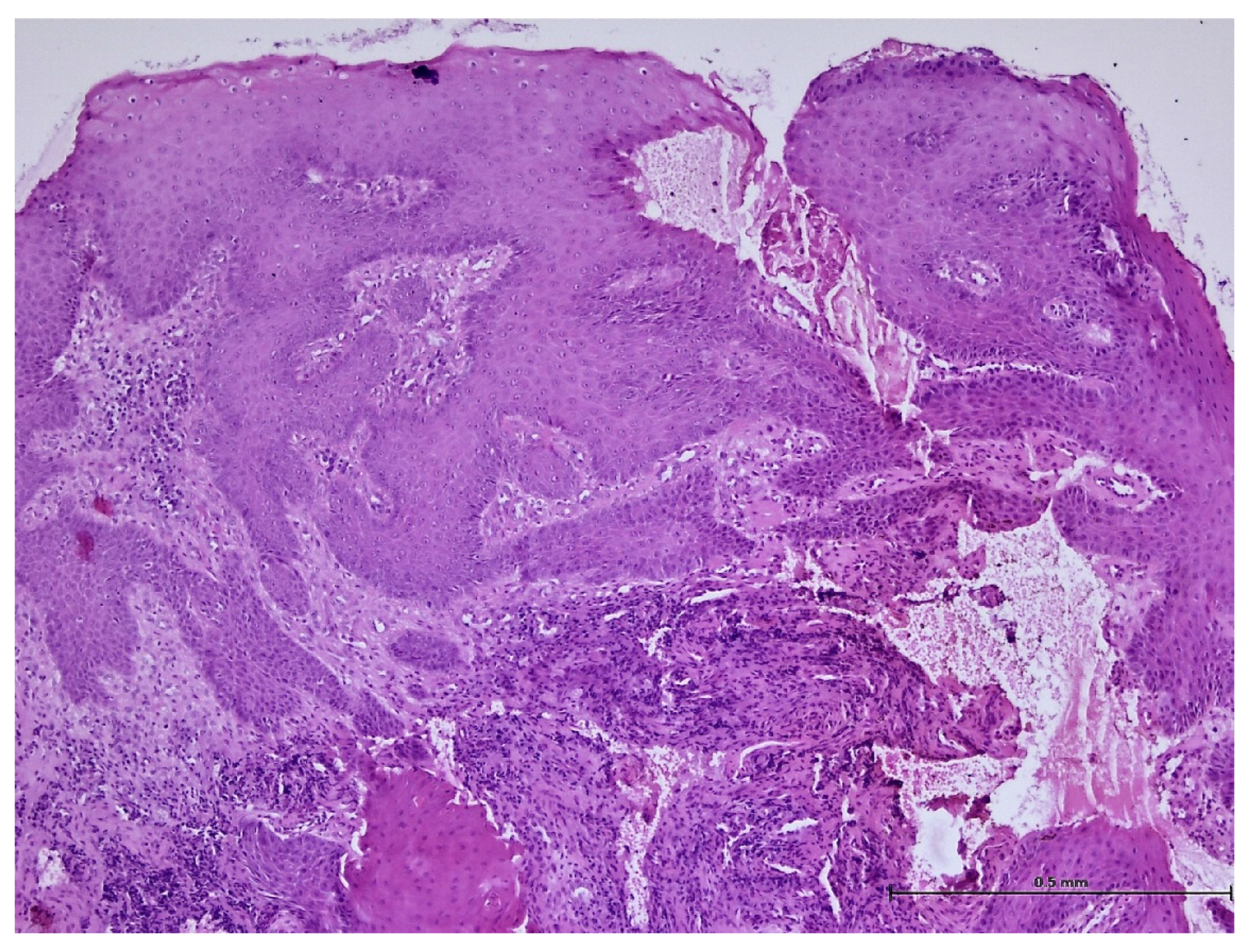 Biomedicines 11 03246 g010 Biomedicines 11 03246 g010