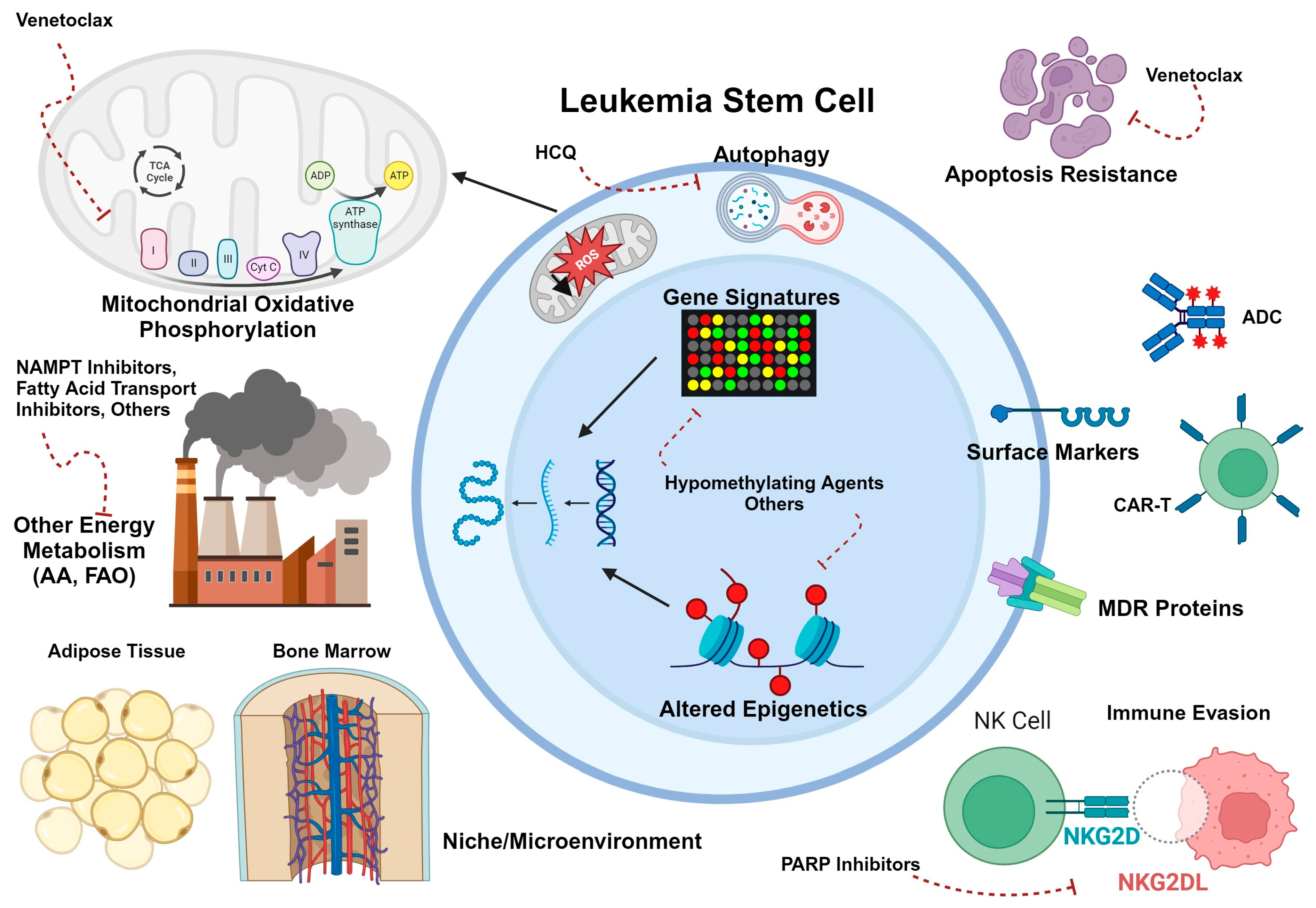 Pre-Stem Cell Transplant Treatment Regimen for AML, MDS - NCI