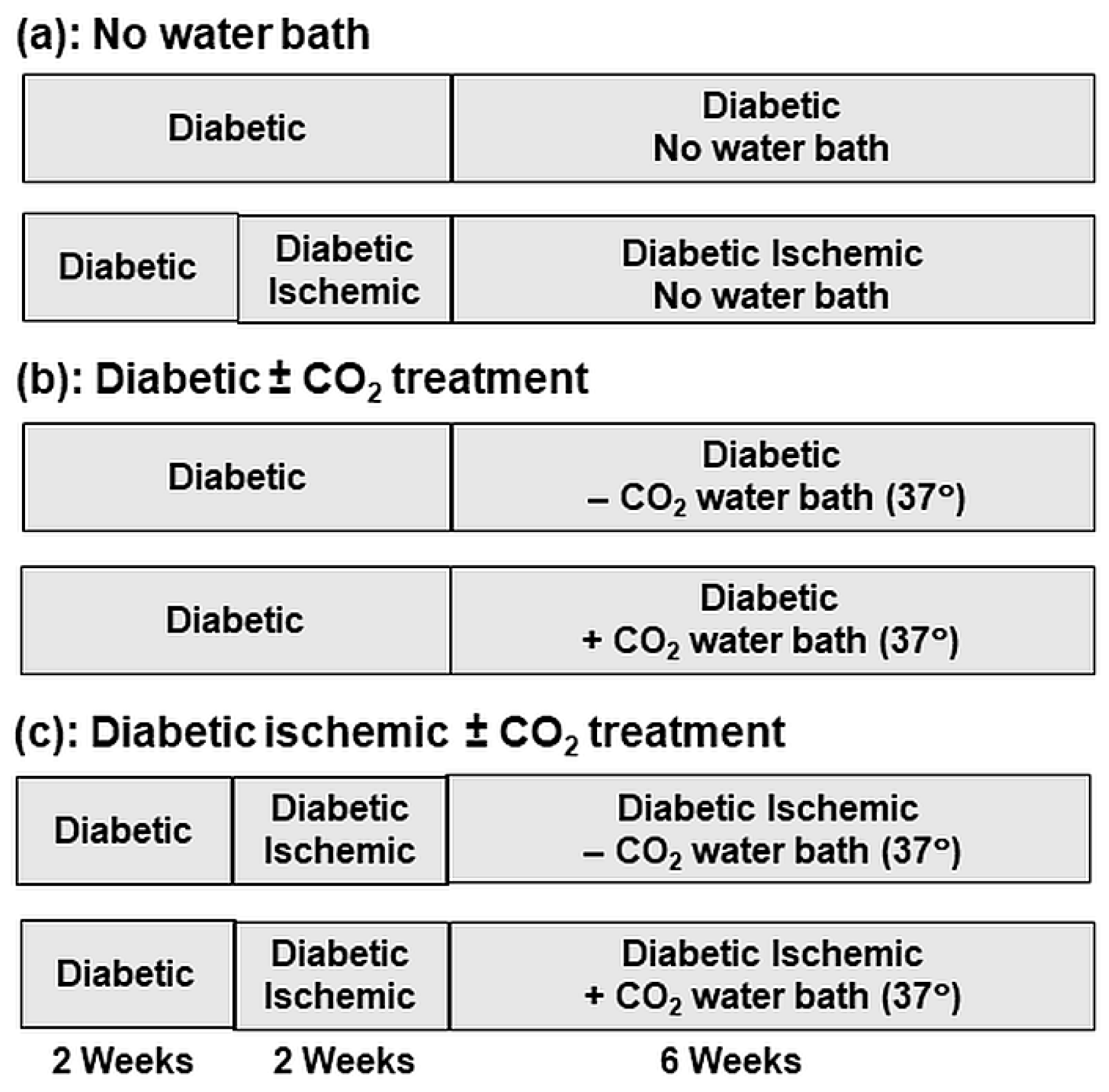 Biomedicines 11 03250 g001