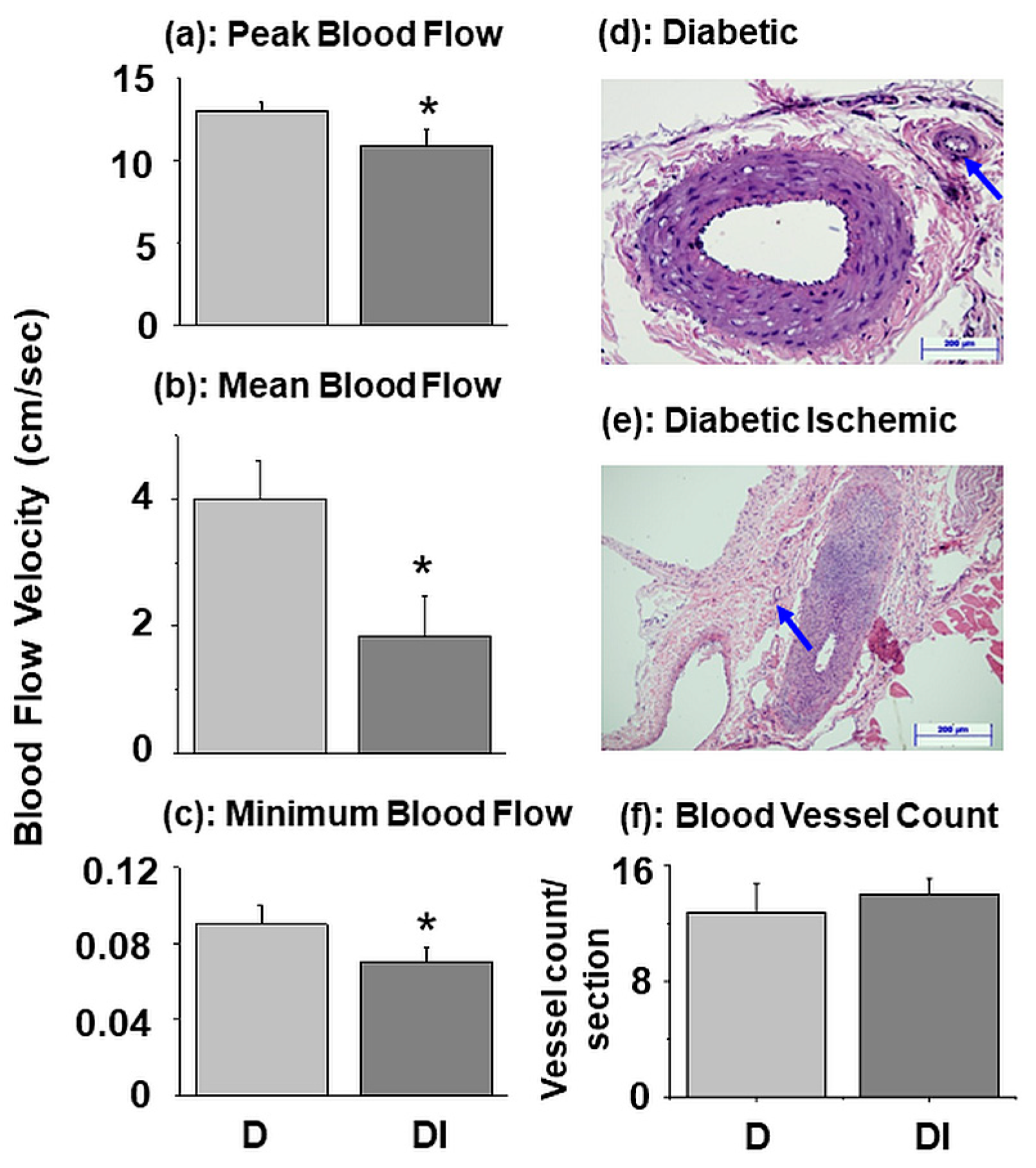 Biomedicines 11 03250 g002