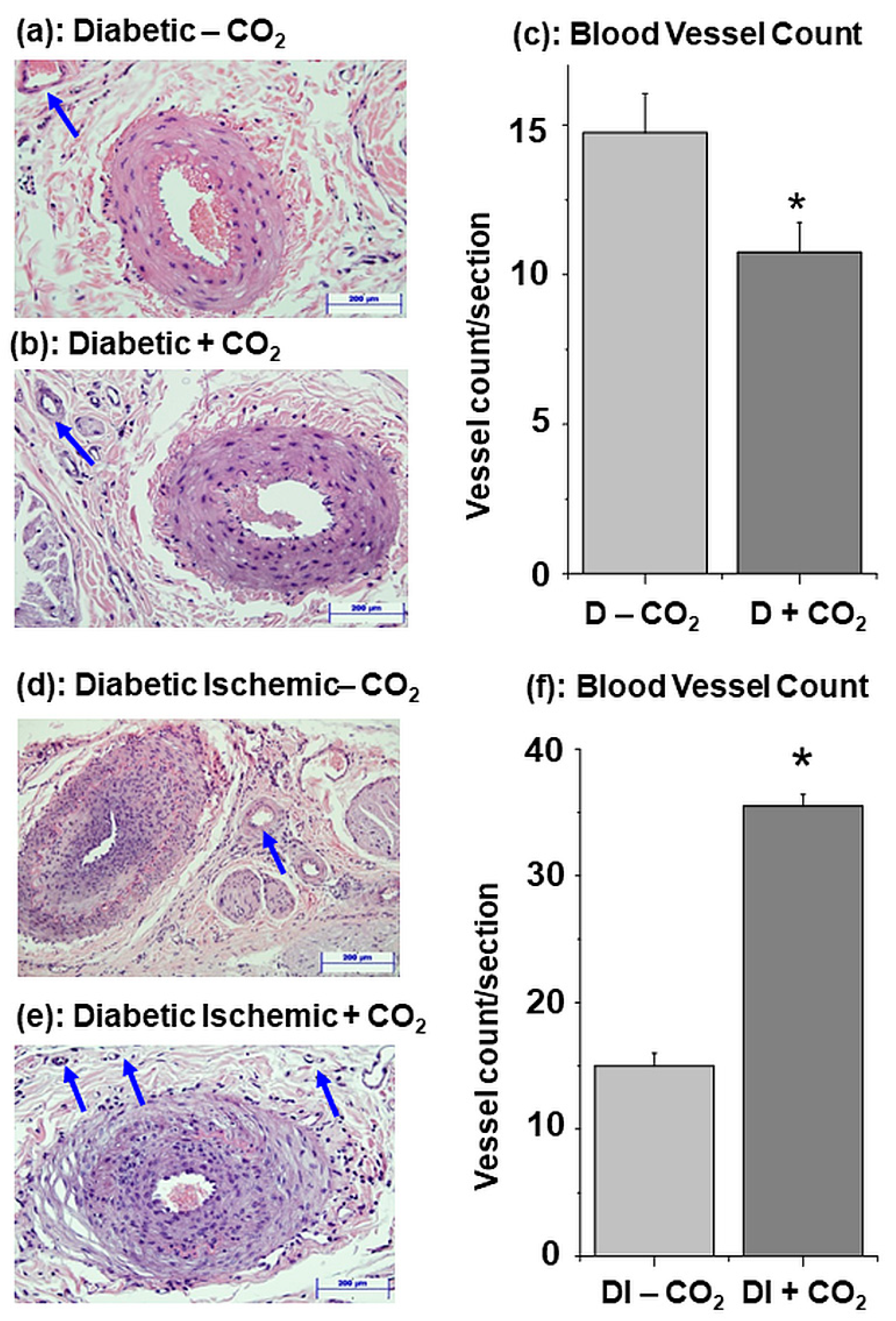Biomedicines 11 03250 g004