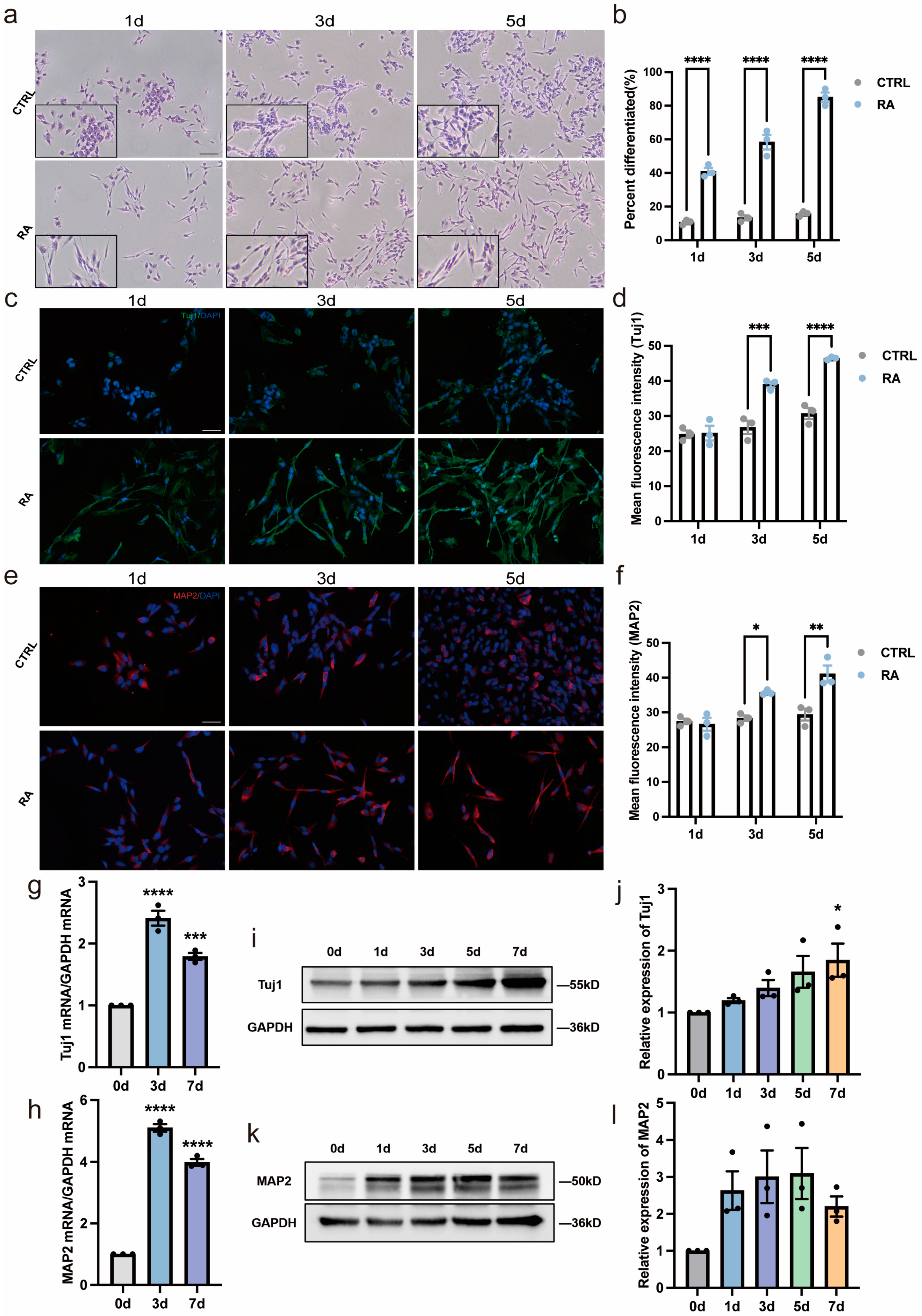 Biomedicines 11 03251 g001 Biomedicines 11 03251 g001