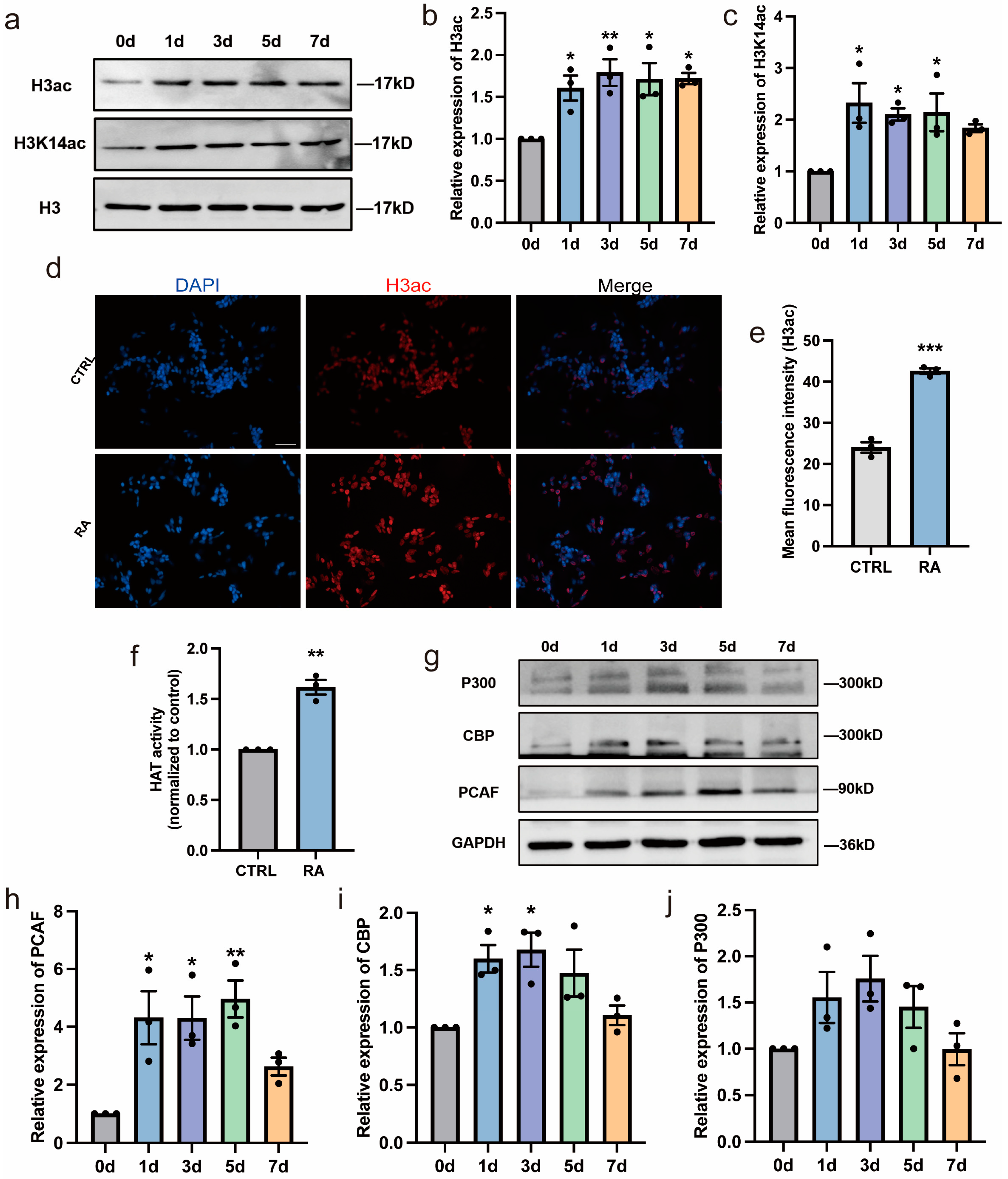 Biomedicines 11 03251 g002 Biomedicines 11 03251 g002