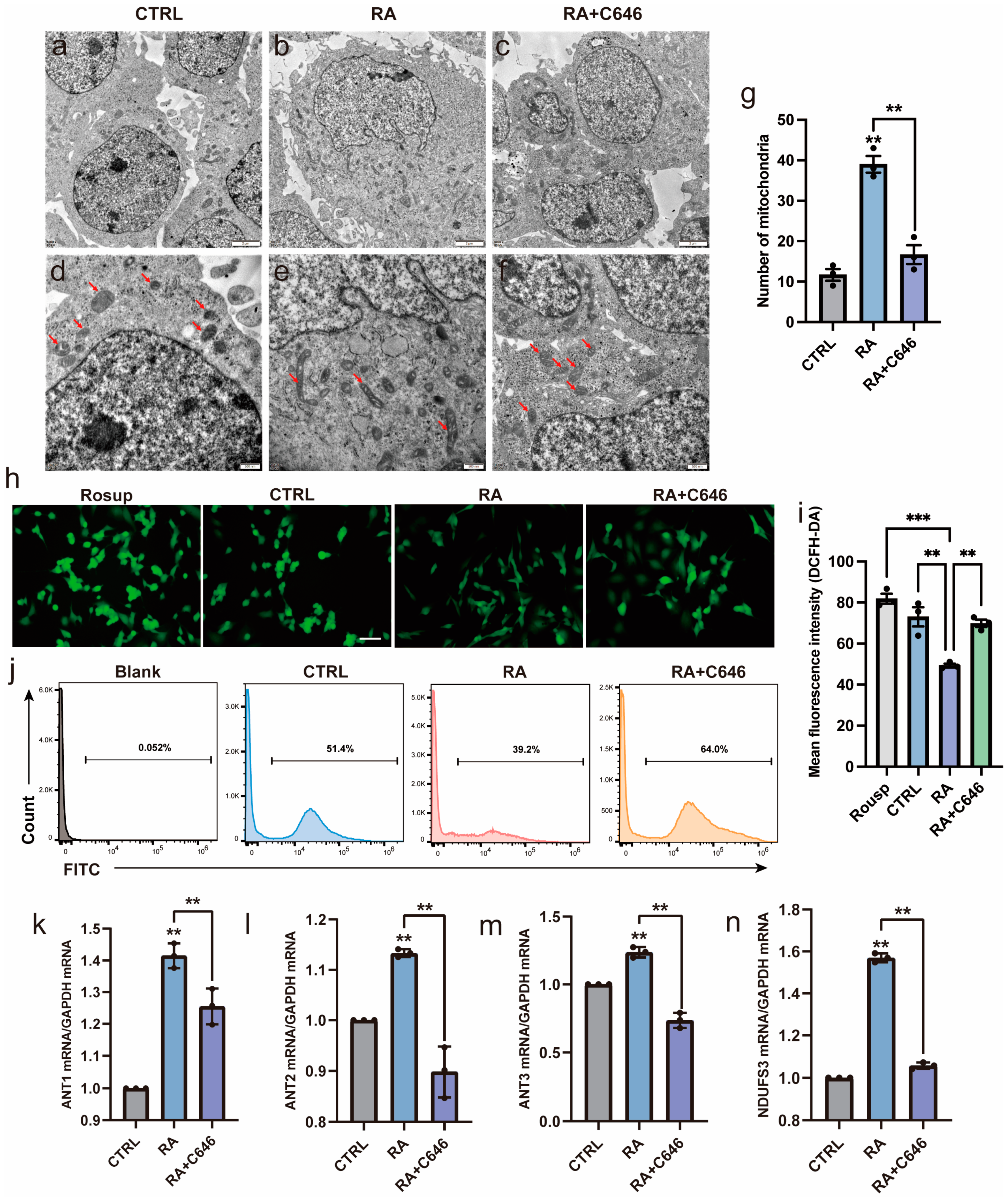 Biomedicines 11 03251 g005 Biomedicines 11 03251 g005
