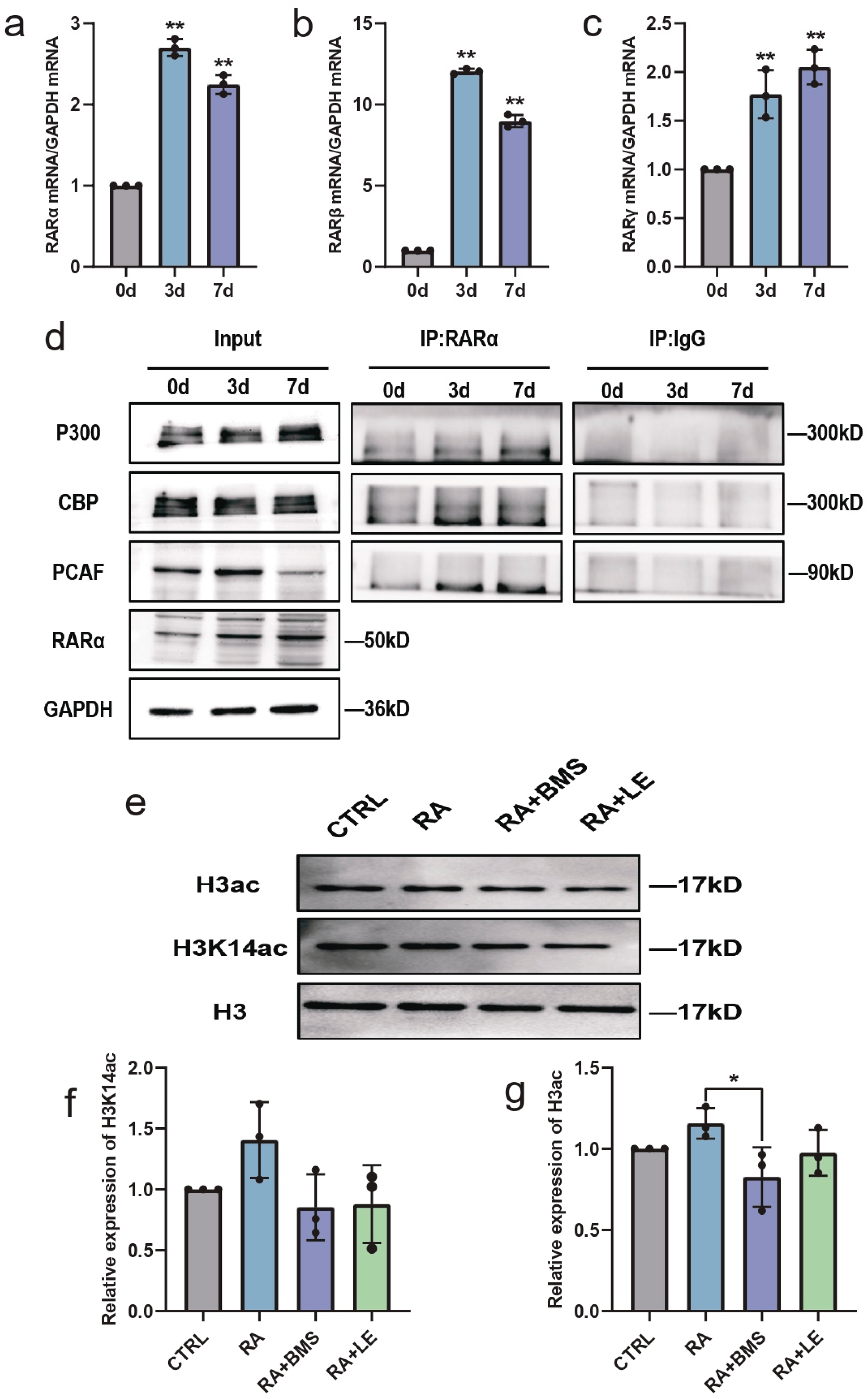 Biomedicines 11 03251 g006 Biomedicines 11 03251 g006