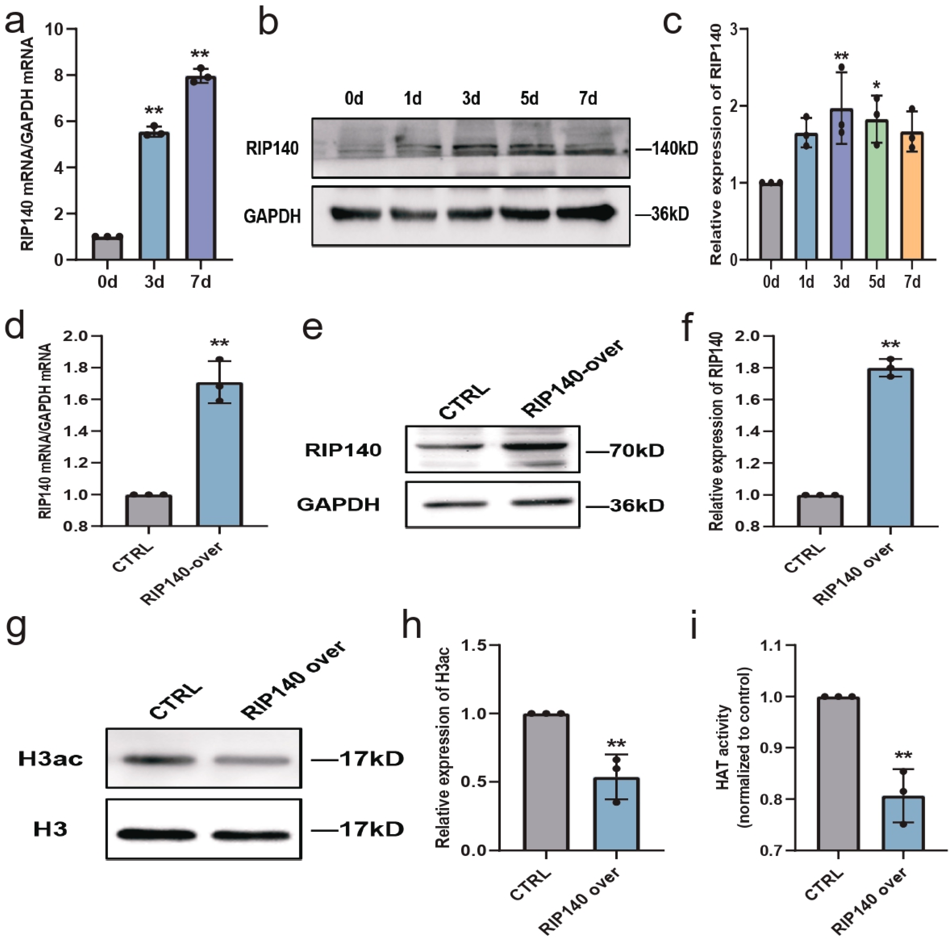 Biomedicines 11 03251 g008 Biomedicines 11 03251 g008