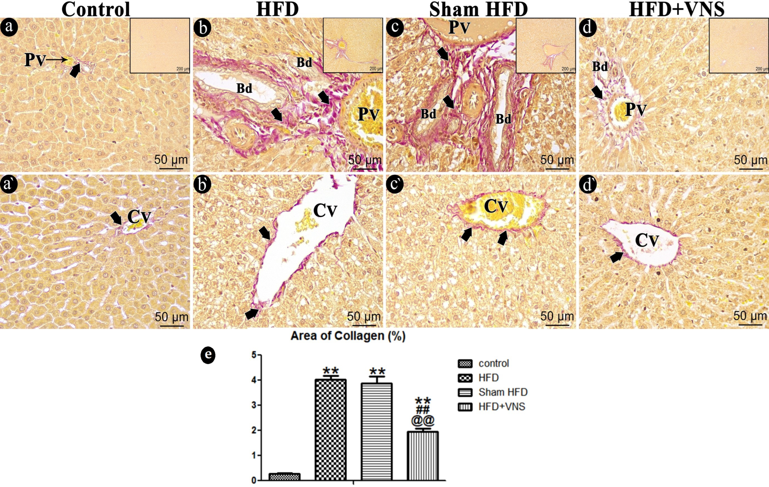 Biomedicines 11 03255 g009