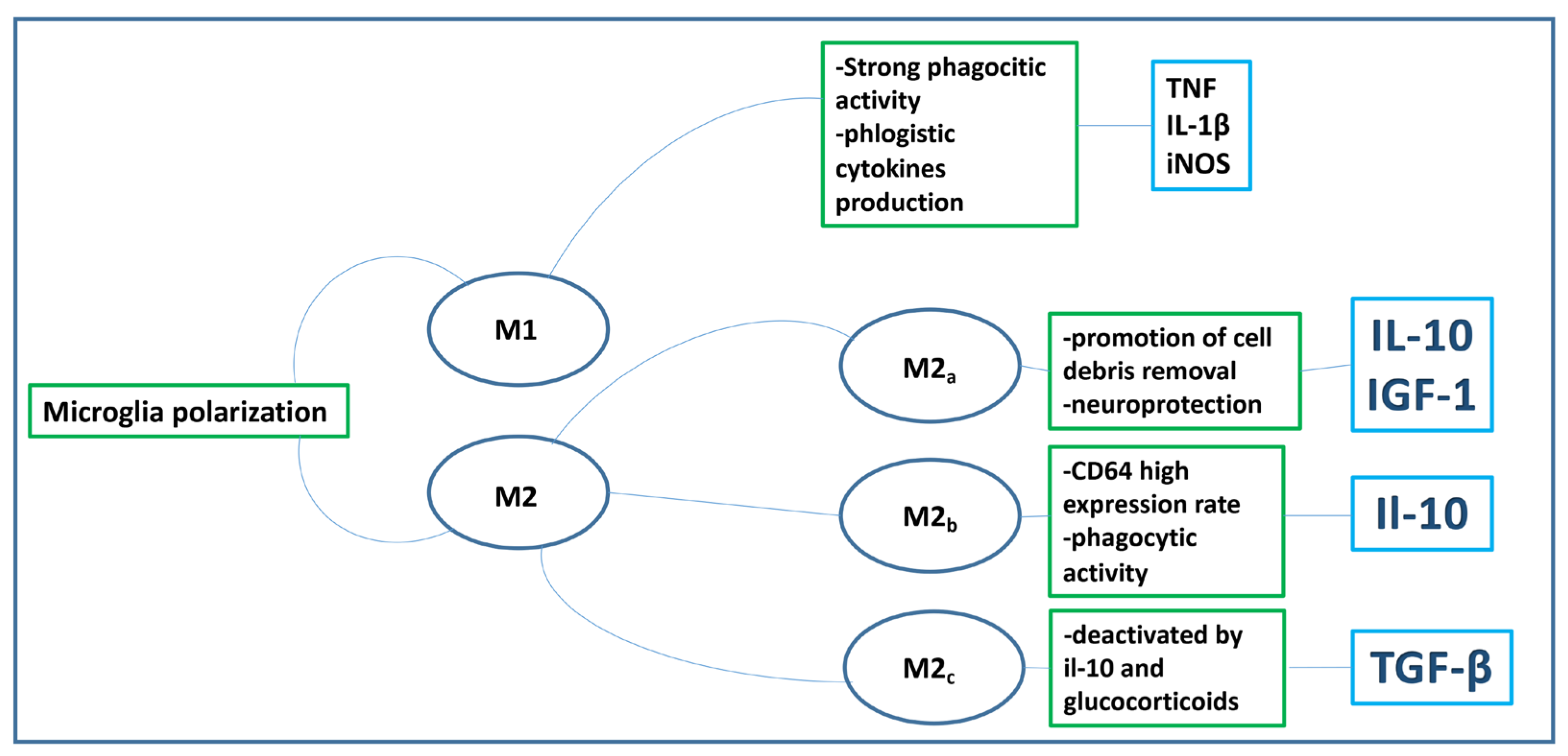 Biomedicines 11 03258 g002 Biomedicines 11 03258 g002