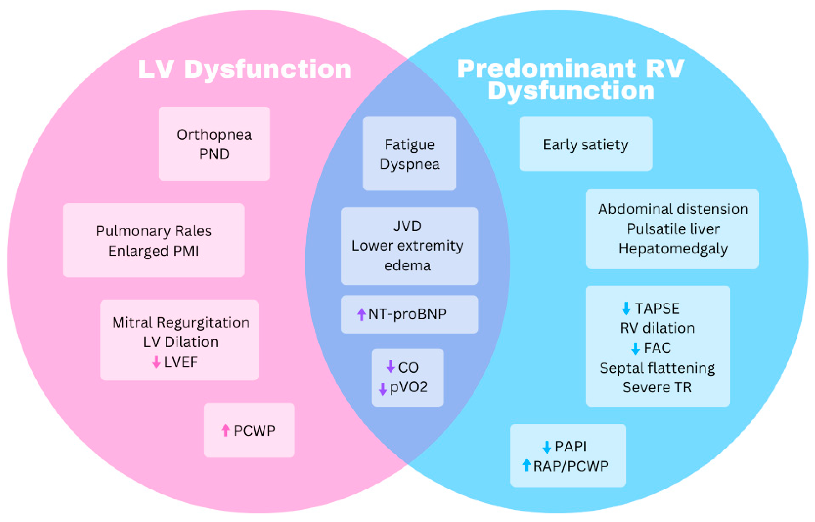 Biomedicines 11 03259 g002