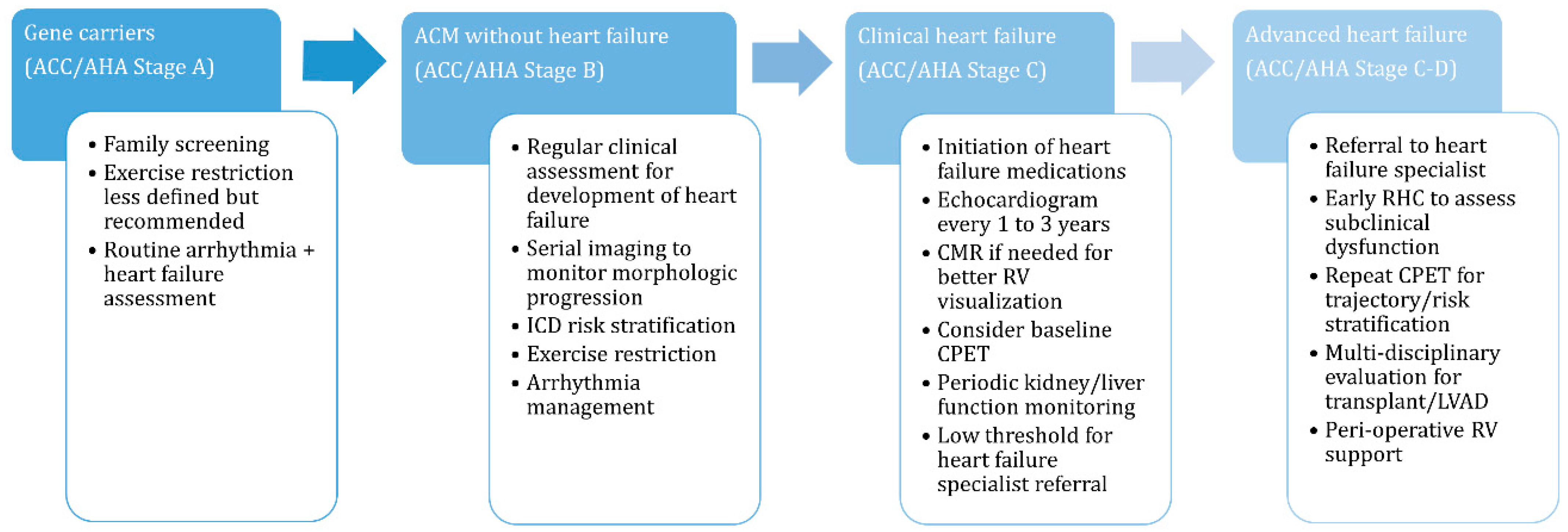 Biomedicines 11 03259 g003