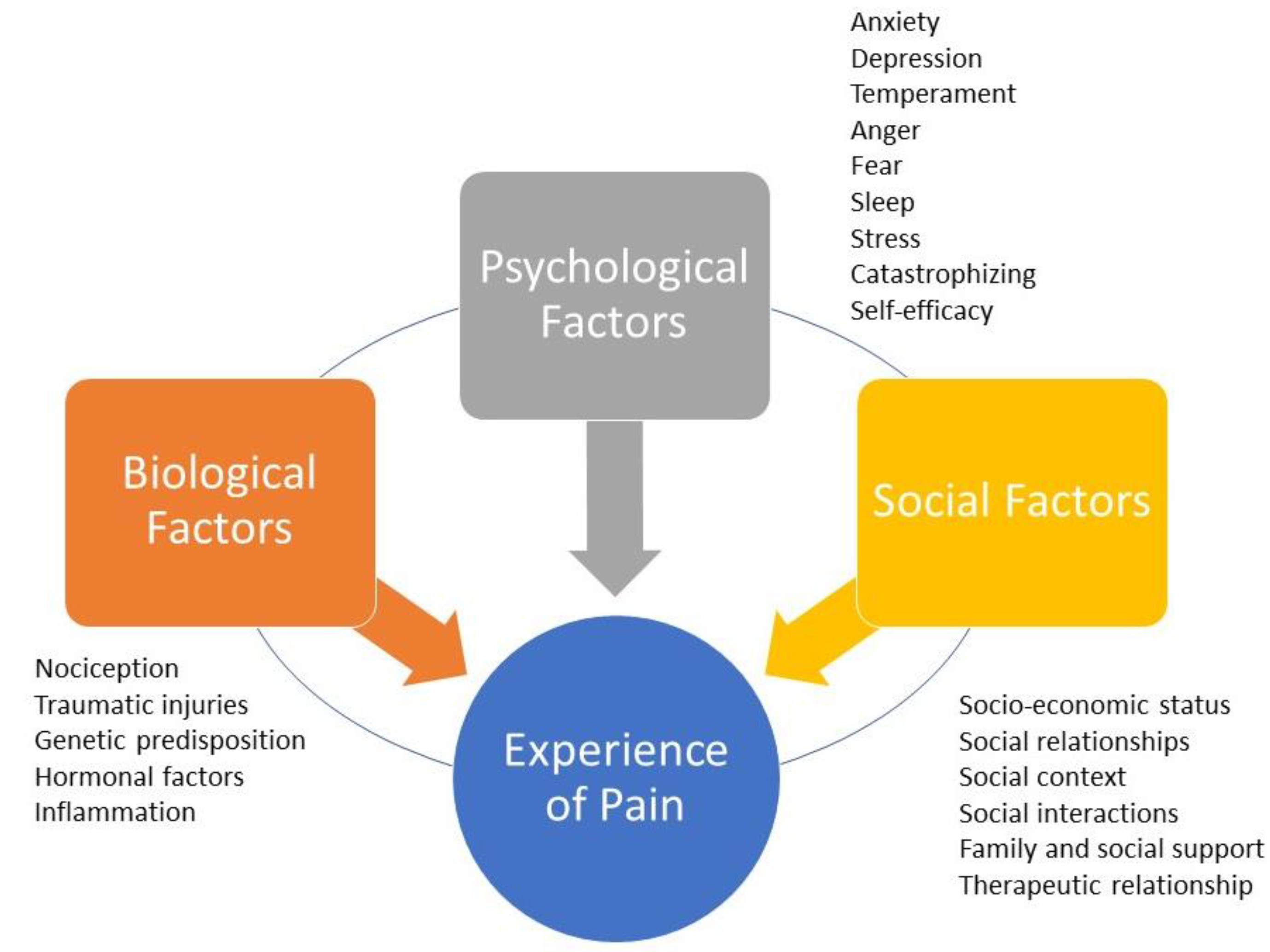 Biomedicines 11 03266 g001