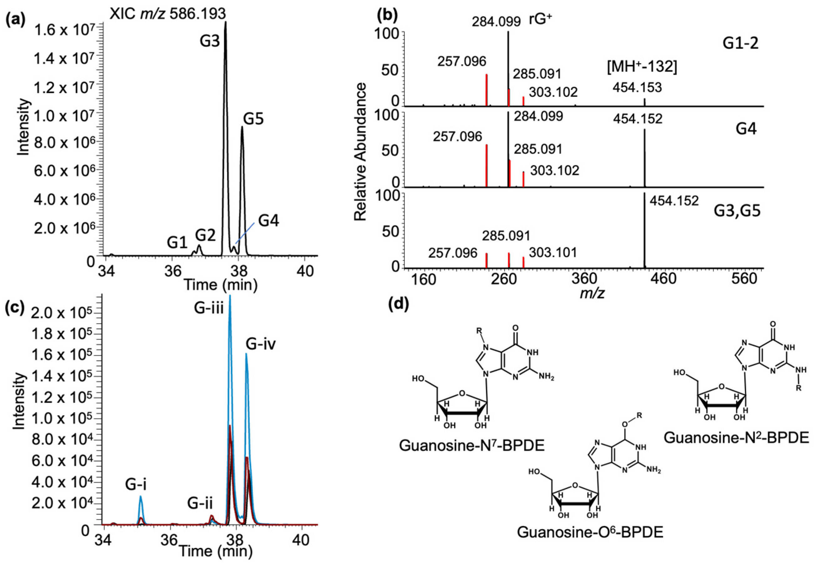 Biomedicines 11 03270 g003