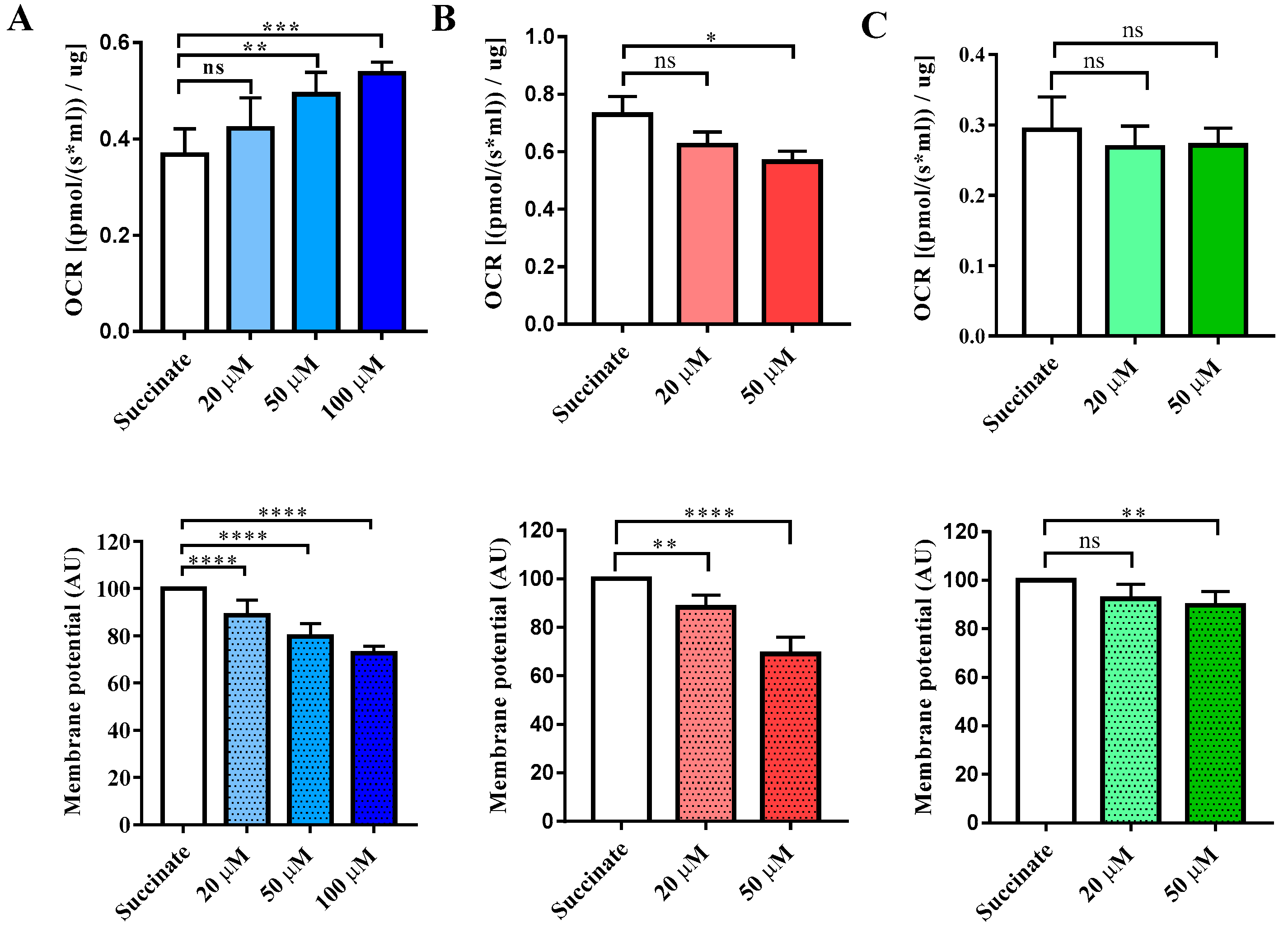 Biomedicines 11 03272 g007