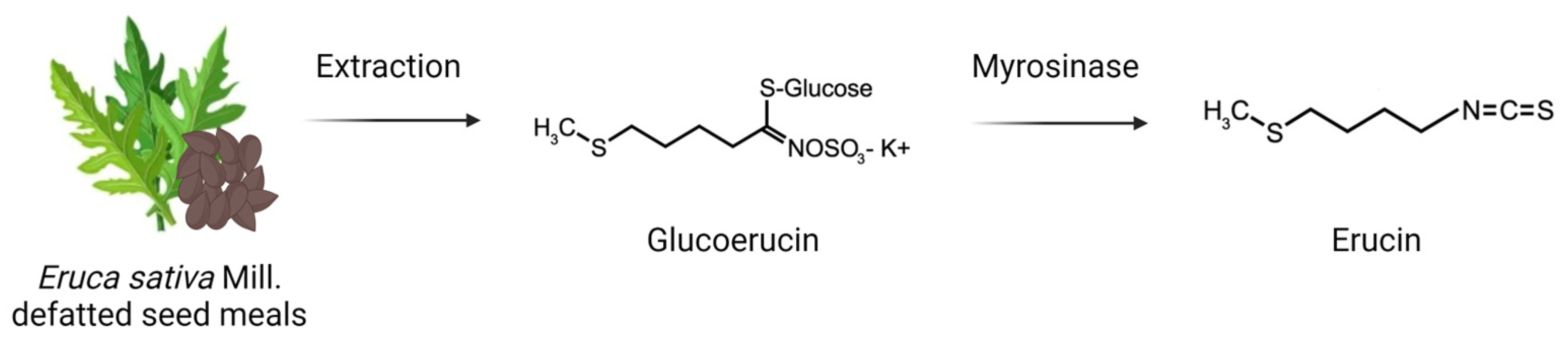 Biomedicines 11 03281 g001