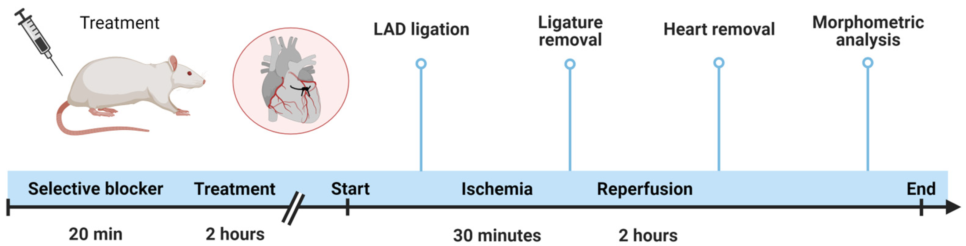 Biomedicines 11 03281 g002