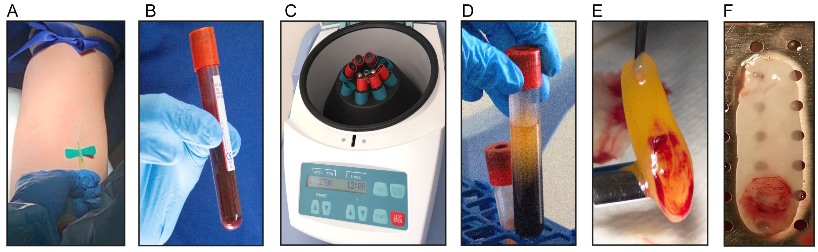 Biomedicines 11 03286 g001