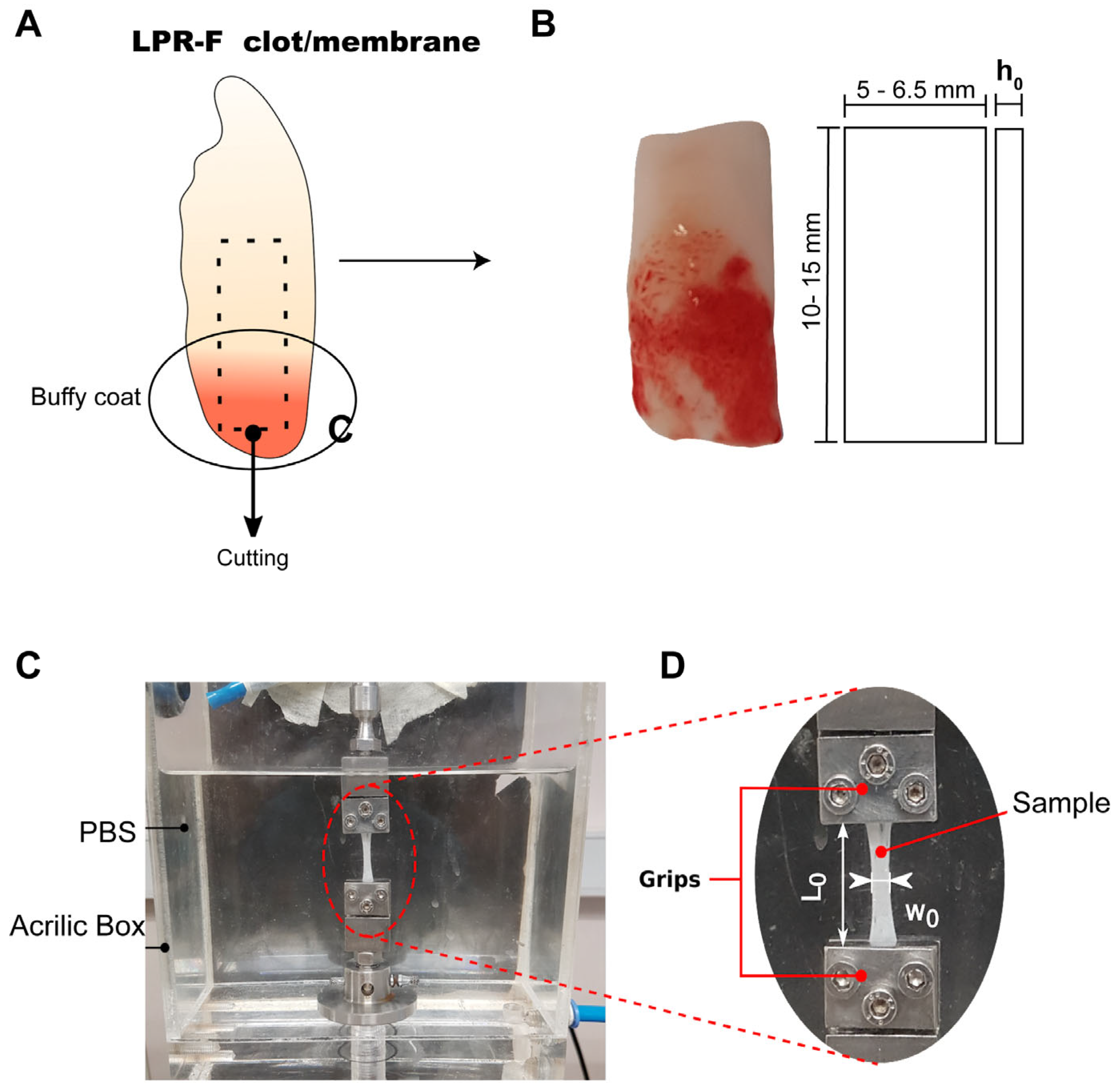 Biomedicines 11 03286 g002