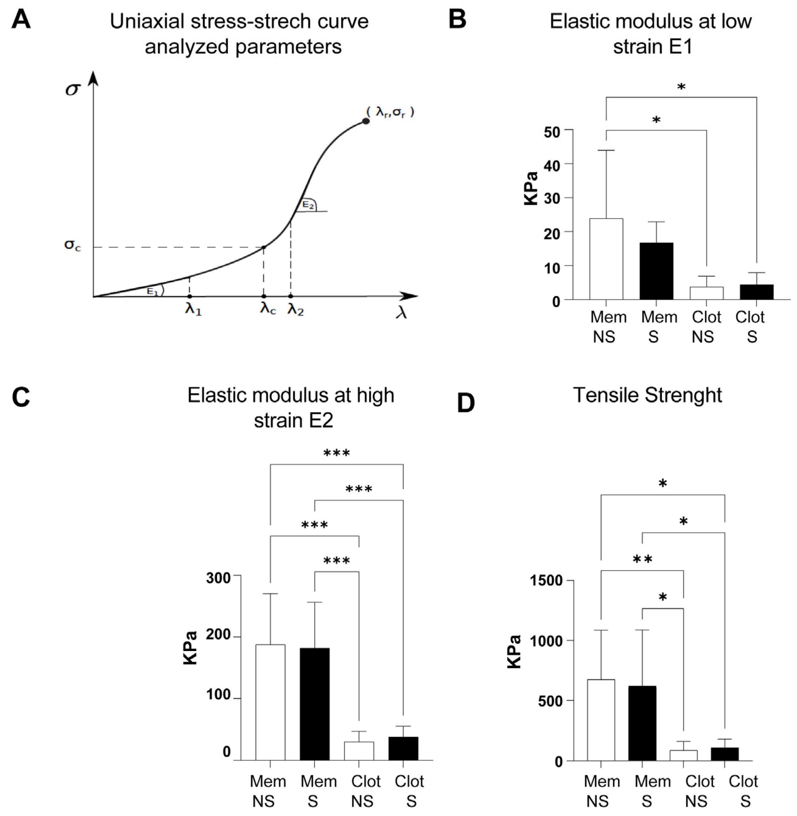 Biomedicines 11 03286 g006