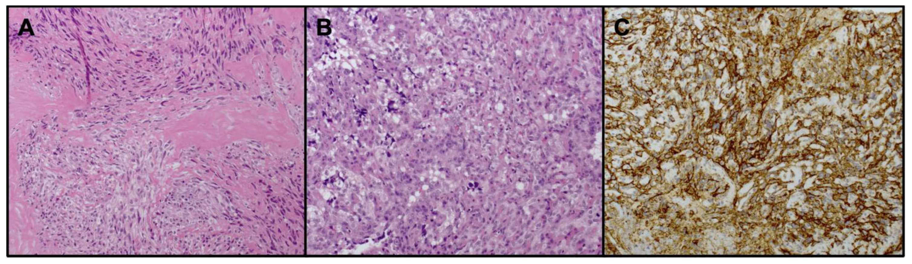 Biomedicines 11 03290 g001 Biomedicines 11 03290 g001