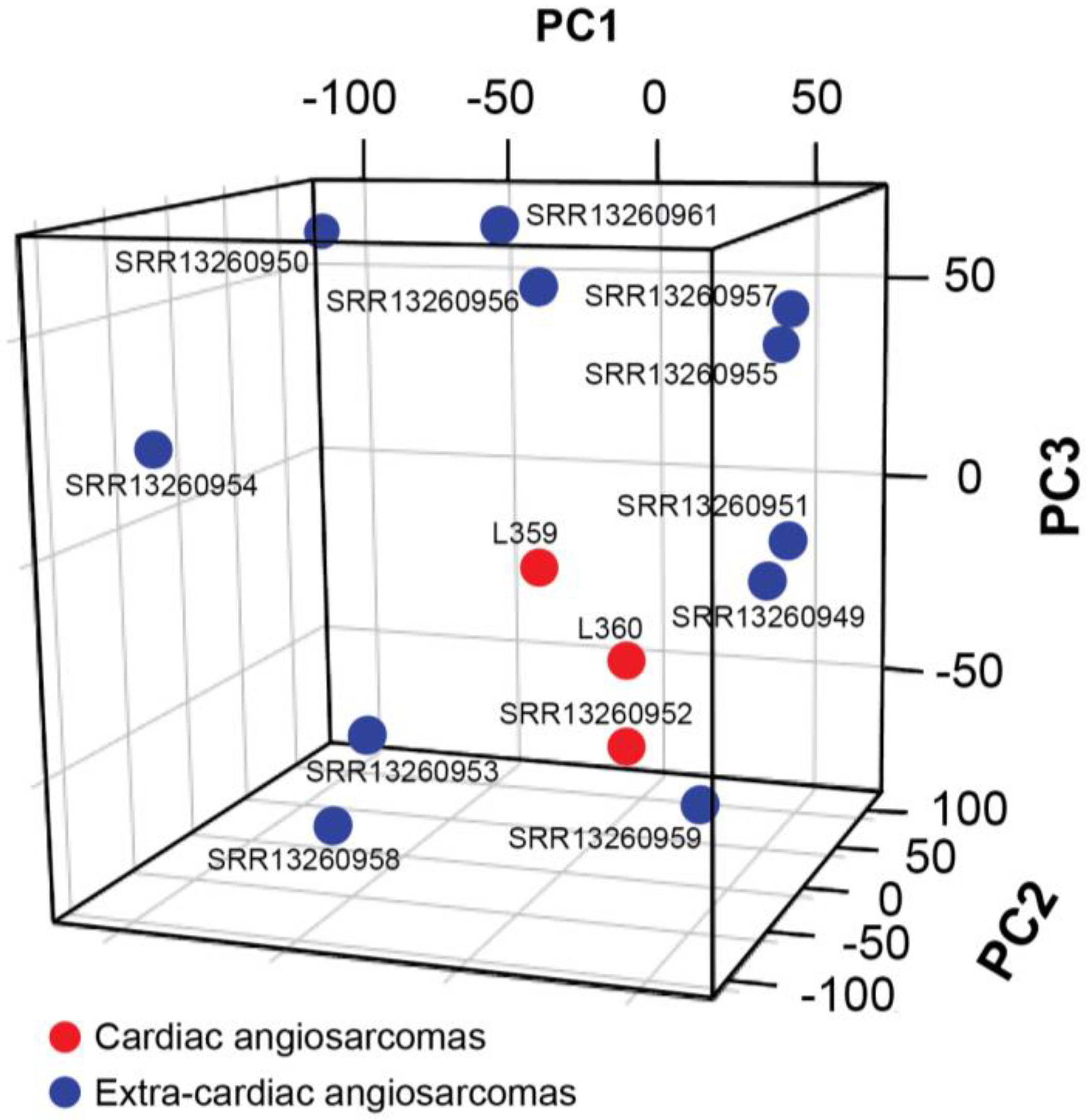 Biomedicines 11 03290 g002 Biomedicines 11 03290 g002