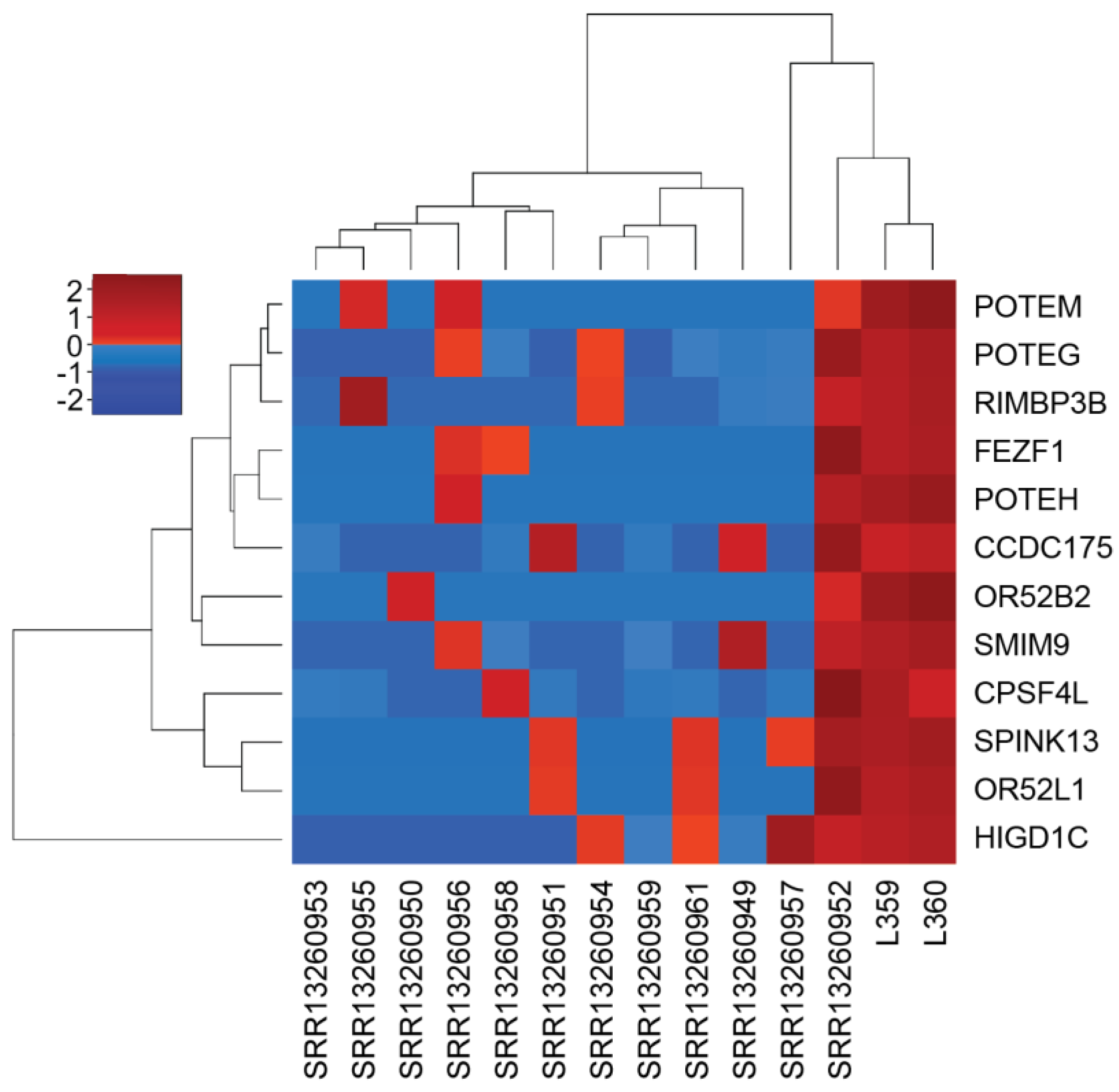 Biomedicines 11 03290 g003 Biomedicines 11 03290 g003