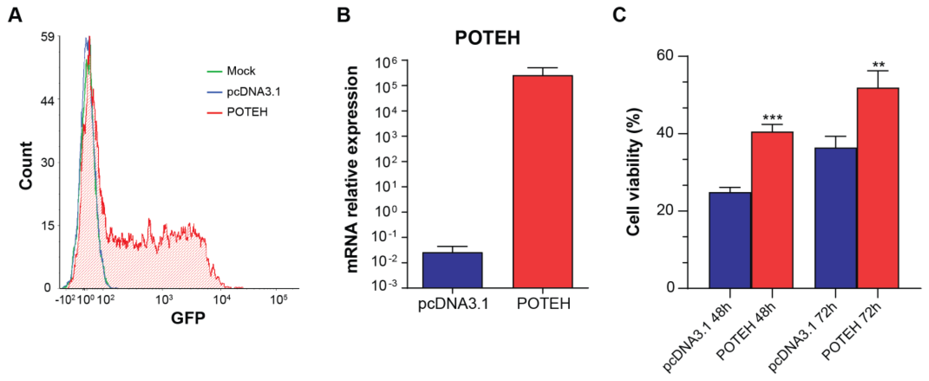 Biomedicines 11 03290 g005 Biomedicines 11 03290 g005