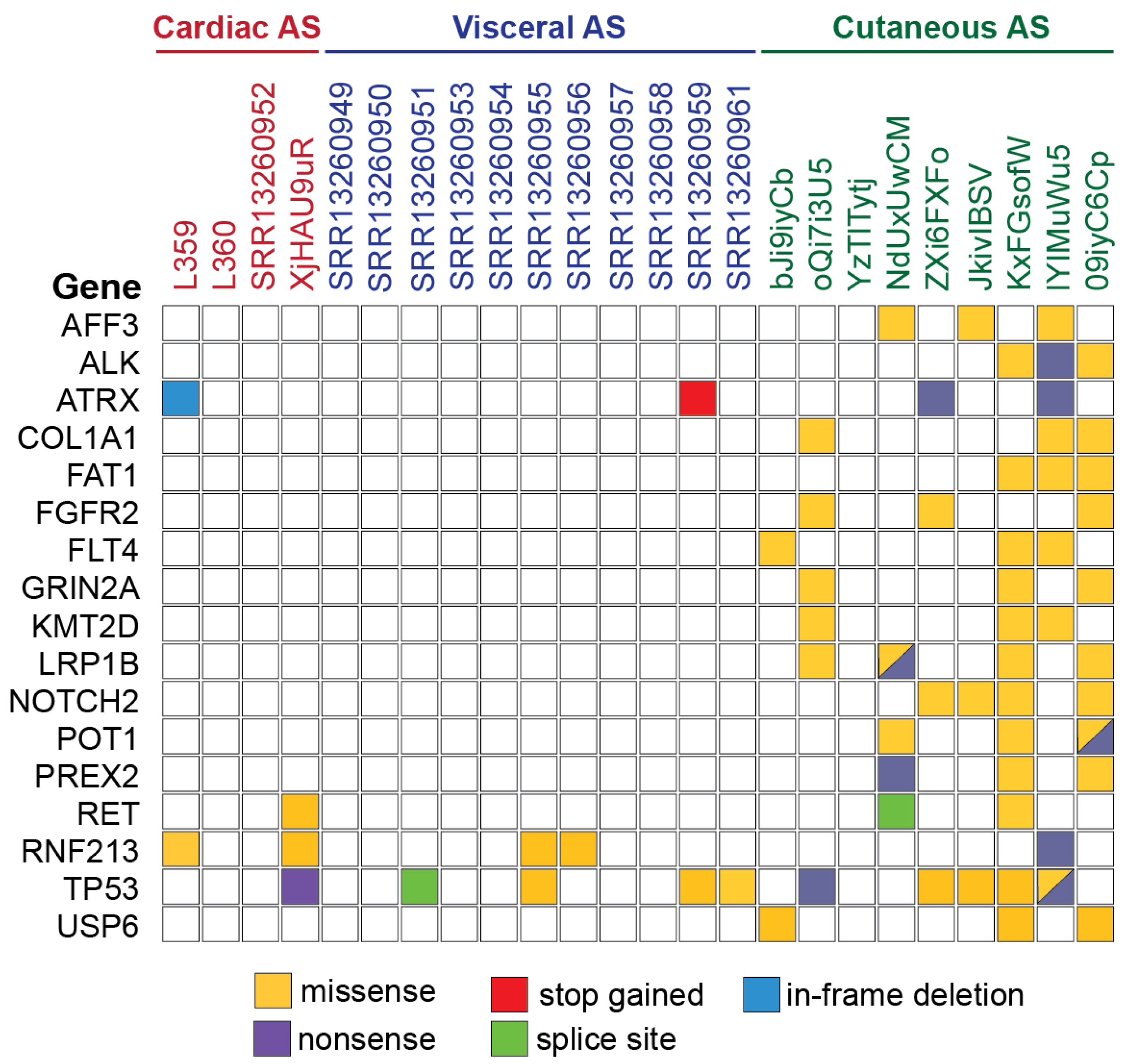 Biomedicines 11 03290 g006 Biomedicines 11 03290 g006