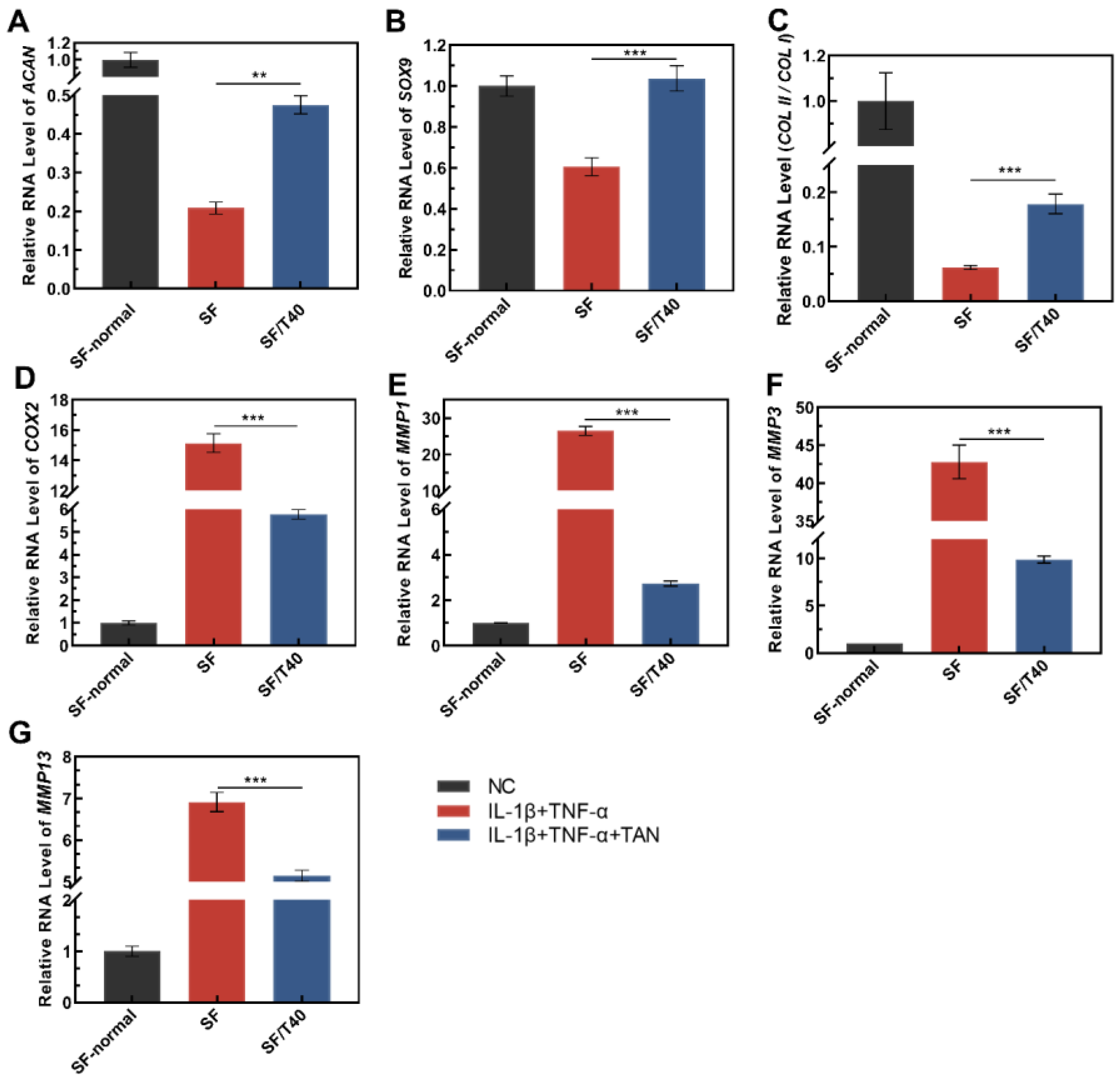 Biomedicines 11 03291 g004