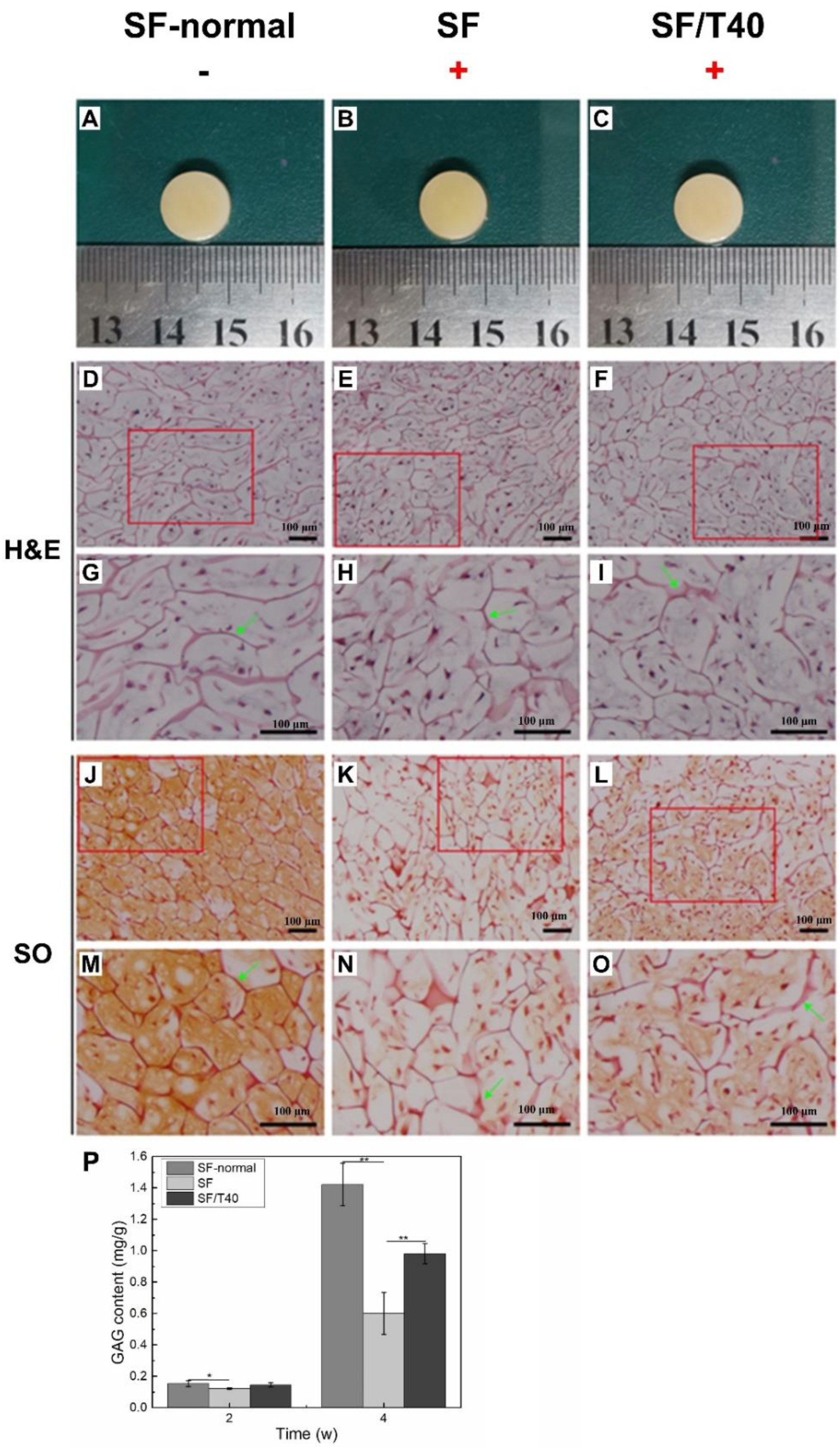 Biomedicines 11 03291 g006