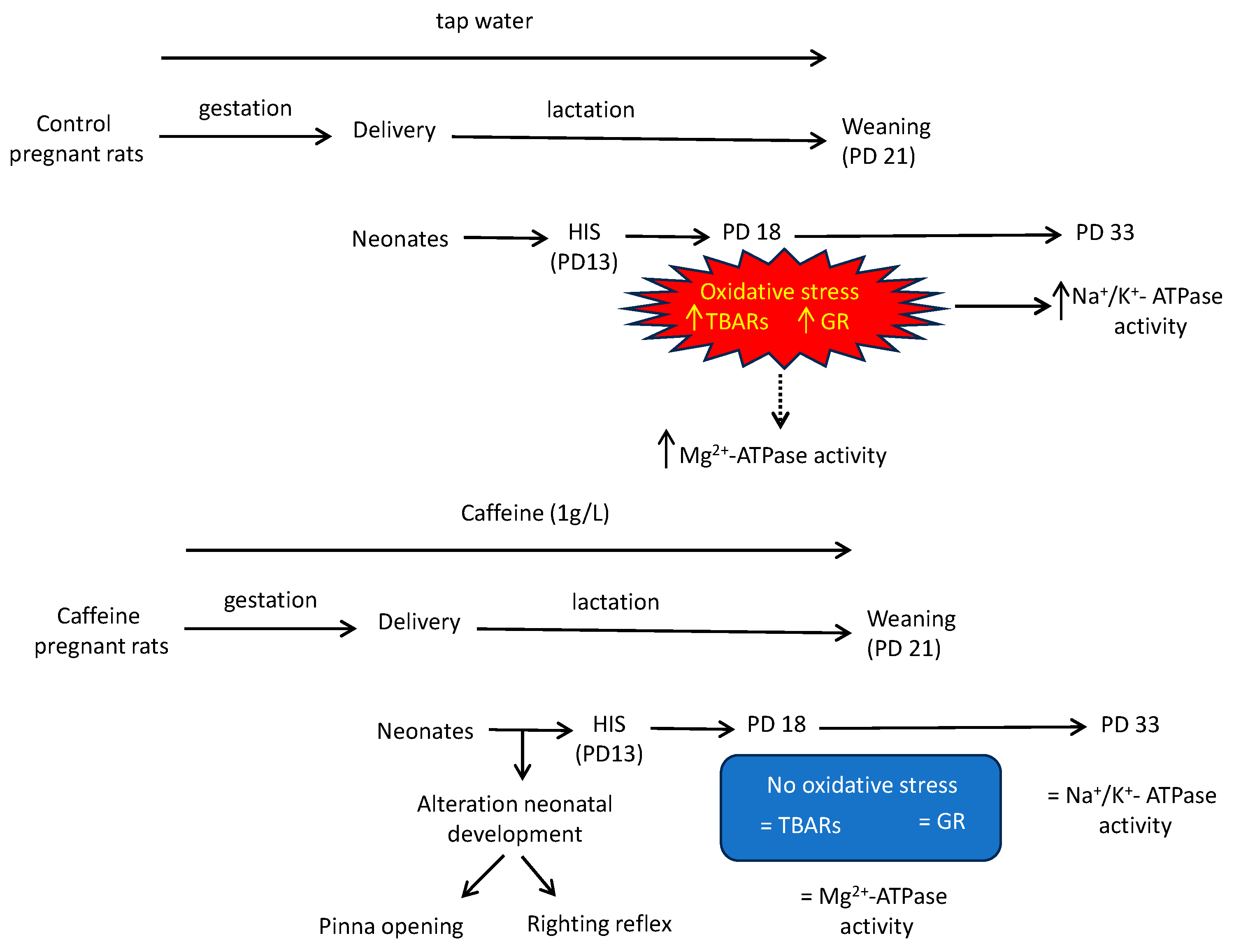Biomedicines 11 03292 g007
