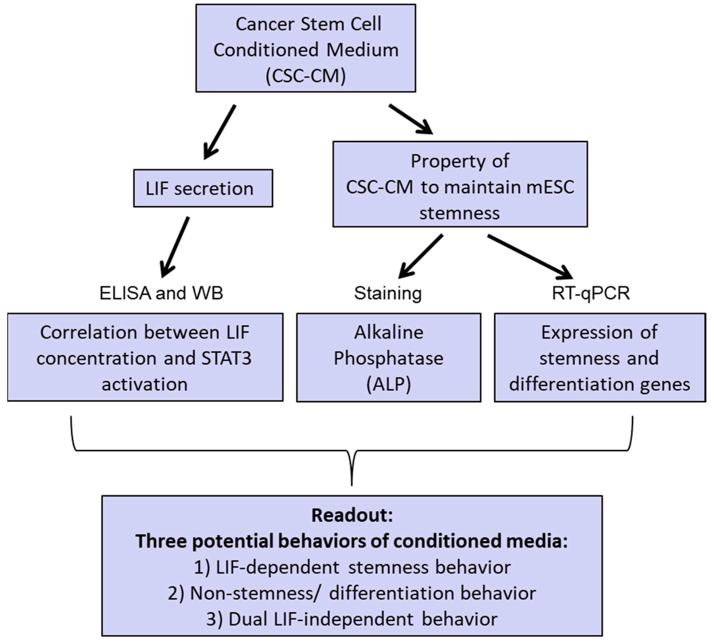 Biomedicines 11 03293 g001