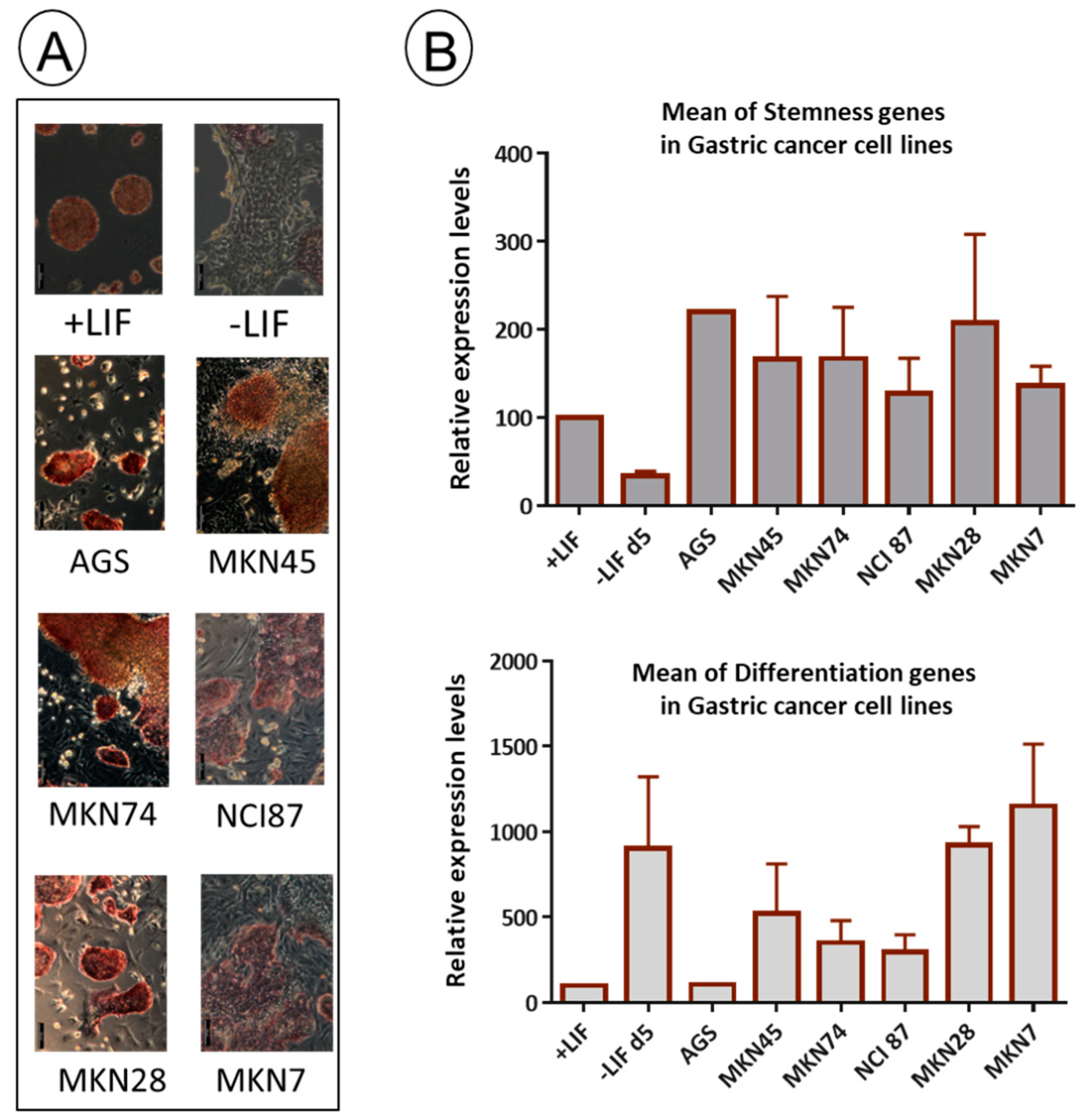 Biomedicines 11 03293 g006