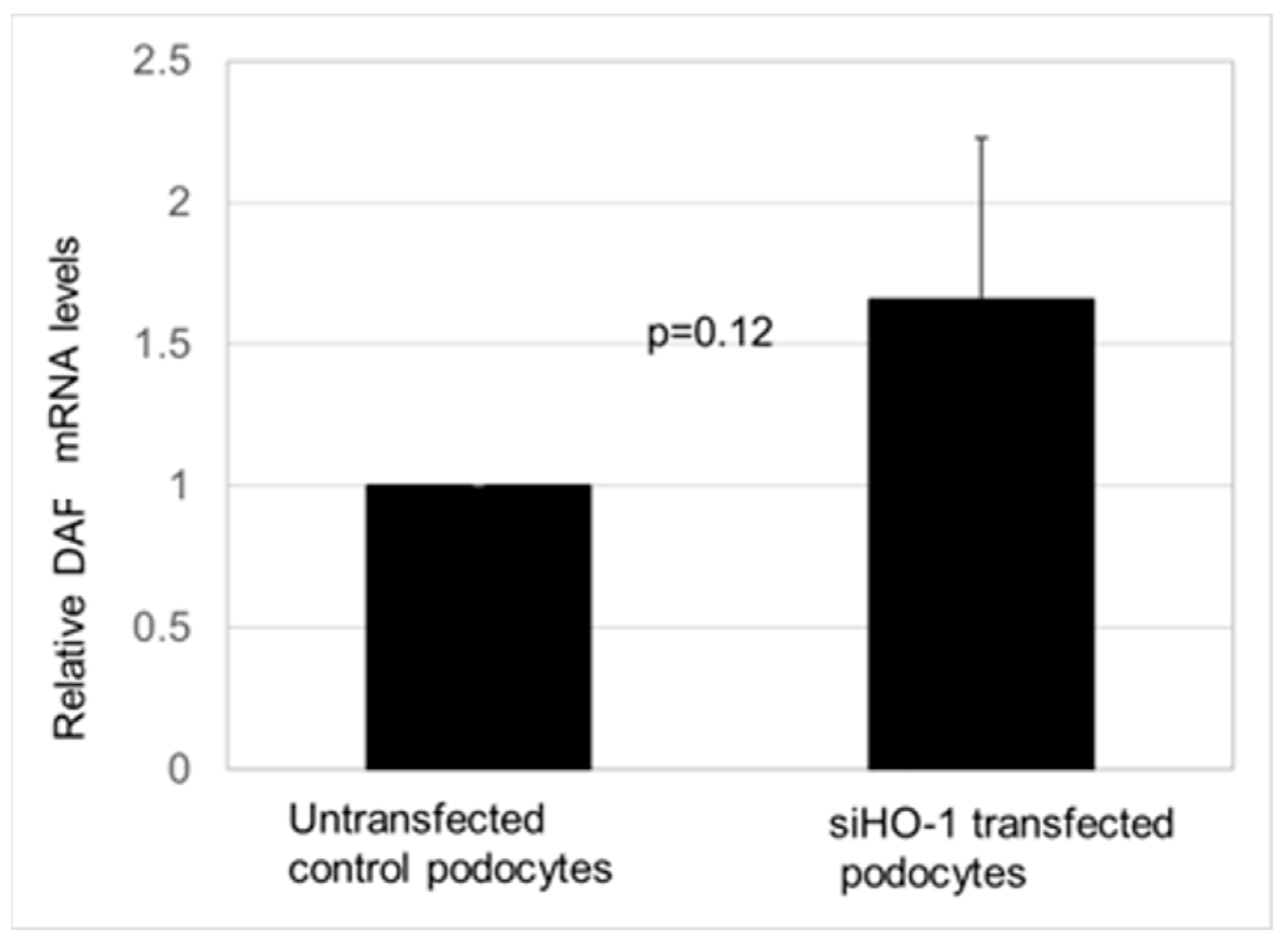 Biomedicines 11 03297 g007