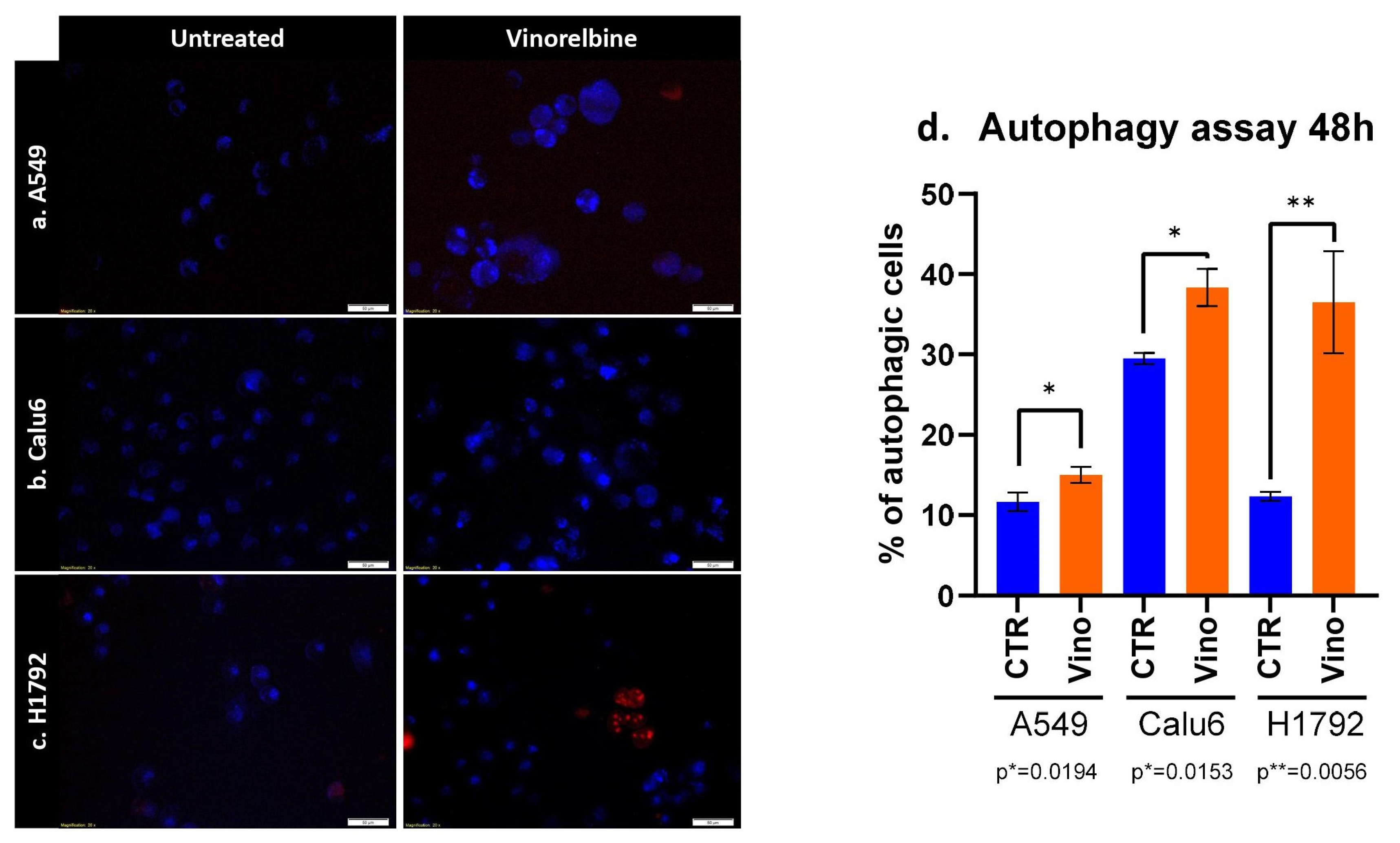Biomedicines 11 03298 g003 Biomedicines 11 03298 g003