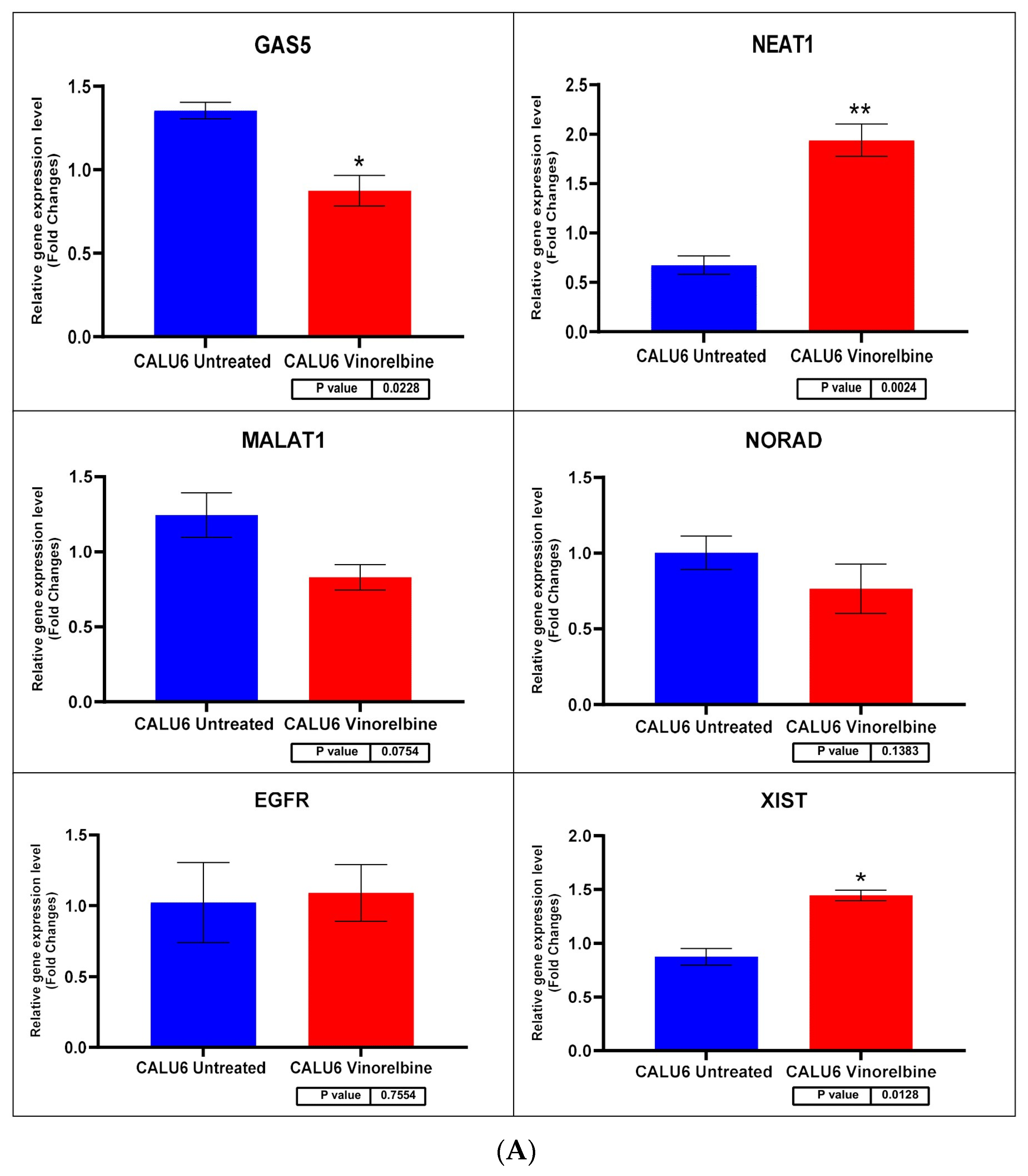 Biomedicines 11 03298 g008a Biomedicines 11 03298 g008a