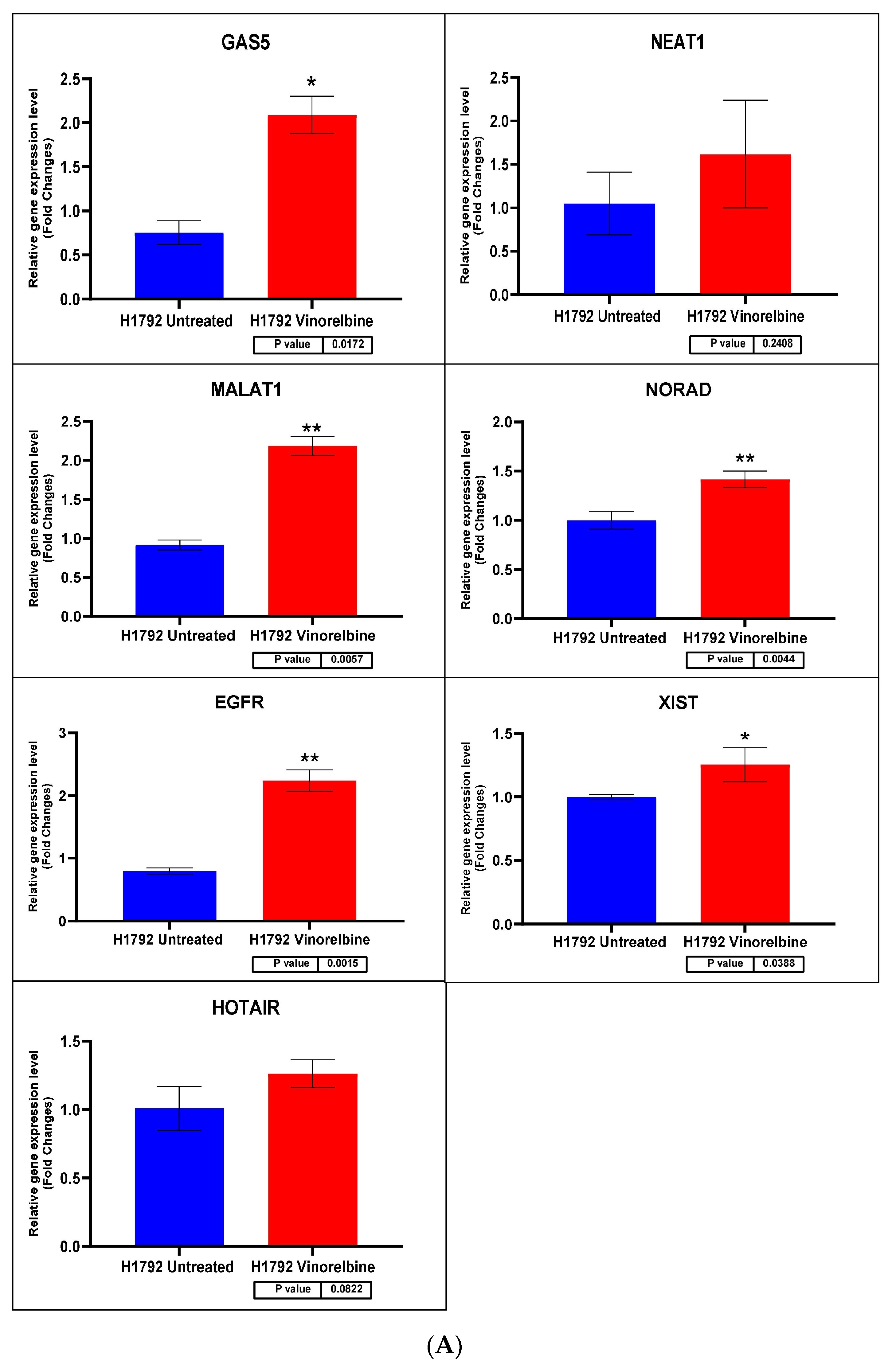 Biomedicines 11 03298 g009a Biomedicines 11 03298 g009a