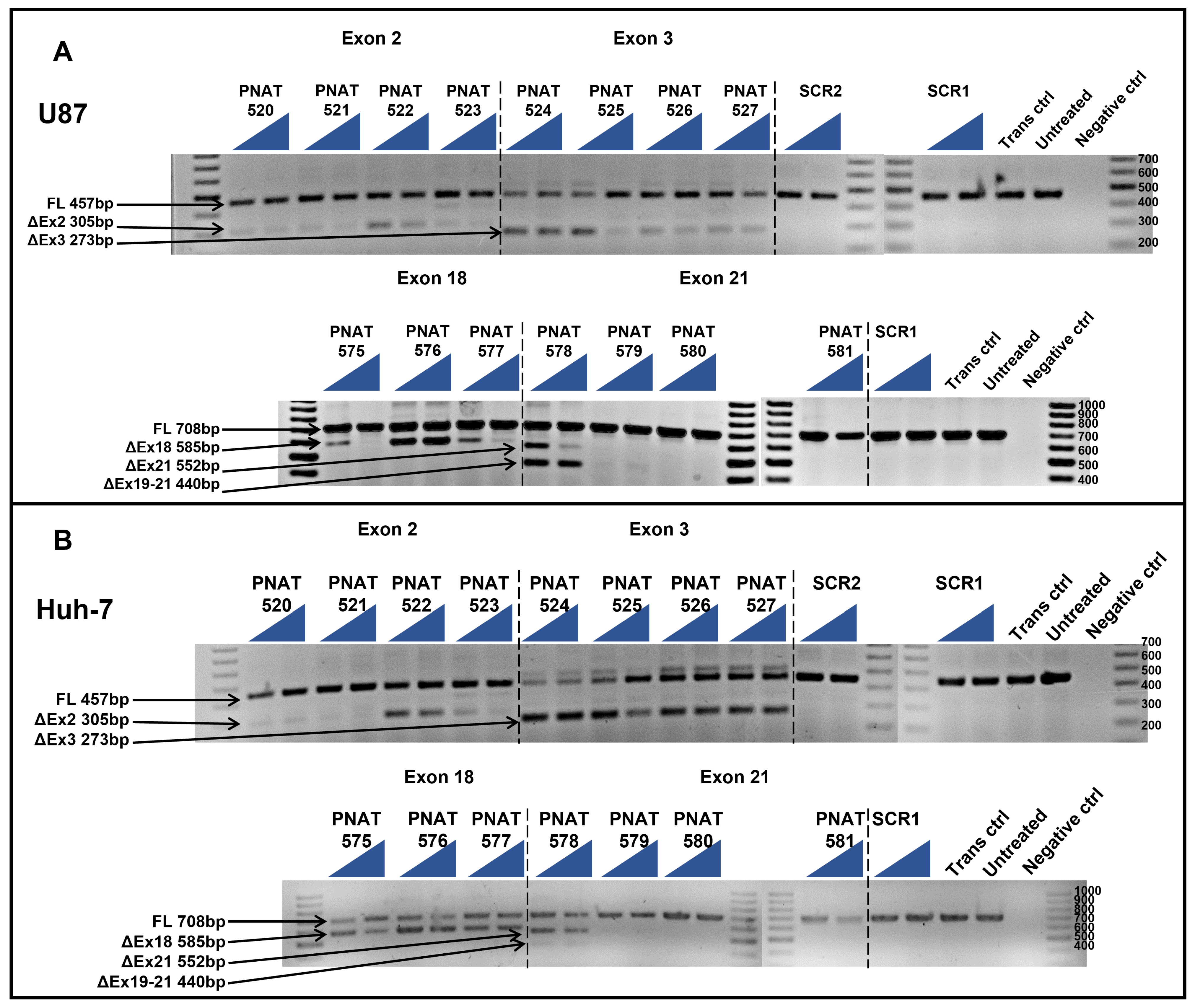 Biomedicines 11 03299 g002 Biomedicines 11 03299 g002