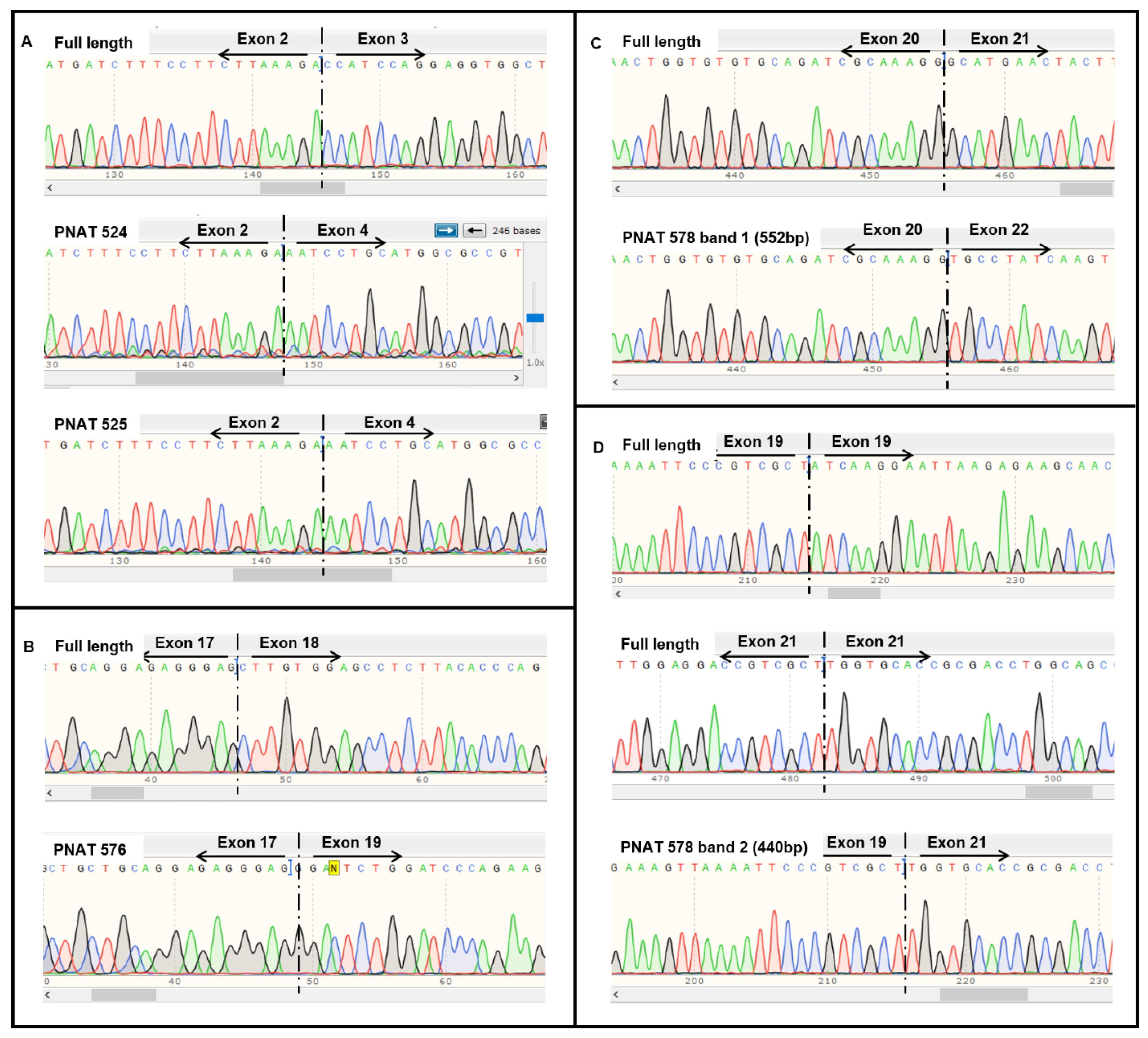 Biomedicines 11 03299 g003 Biomedicines 11 03299 g003