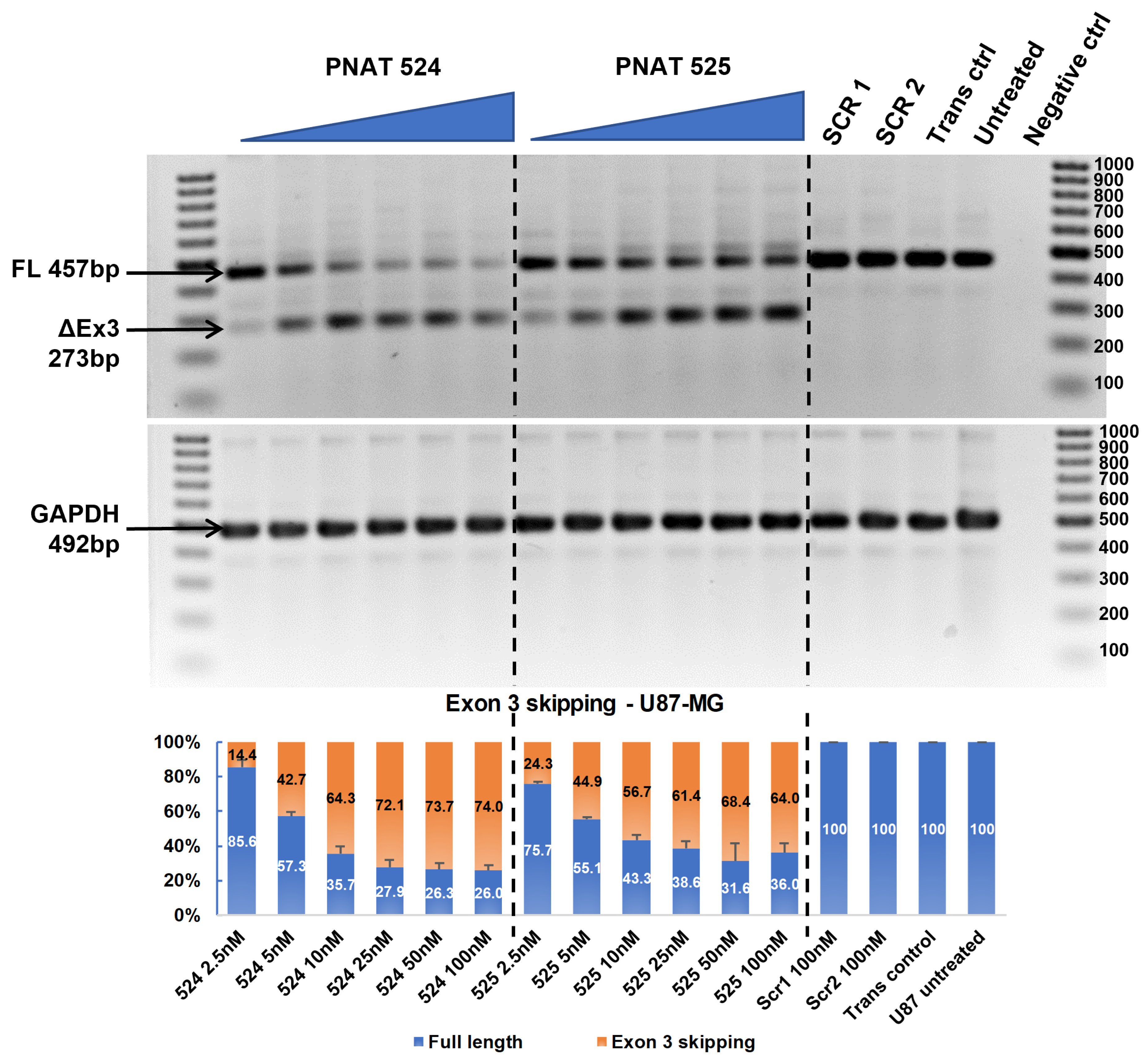 Biomedicines 11 03299 g004 Biomedicines 11 03299 g004