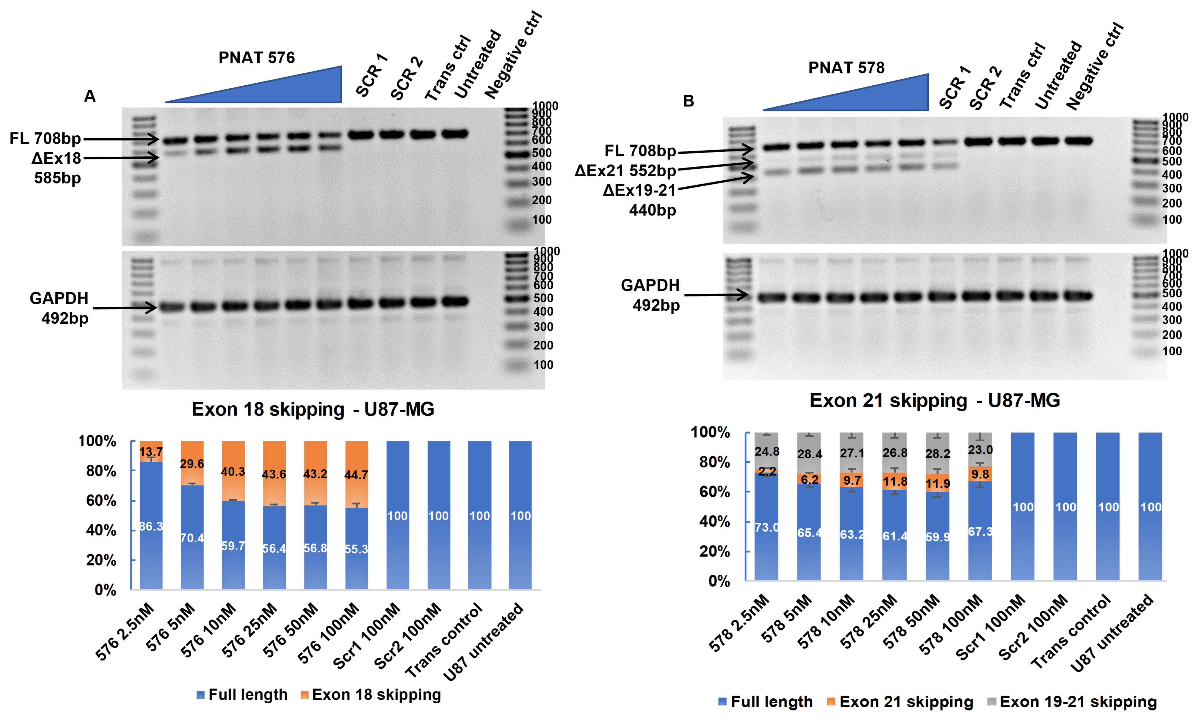 Biomedicines 11 03299 g005 Biomedicines 11 03299 g005