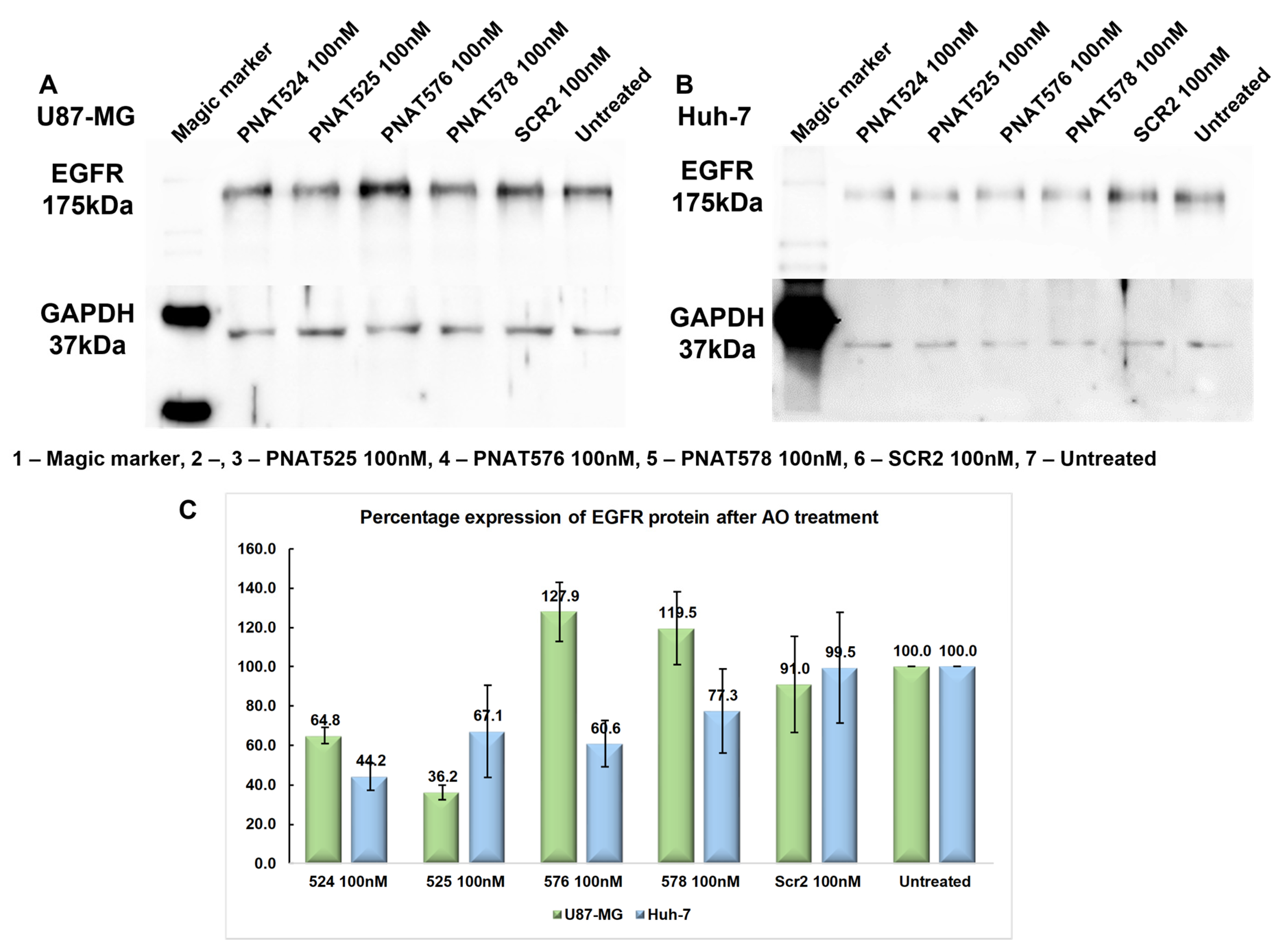 Biomedicines 11 03299 g007 Biomedicines 11 03299 g007