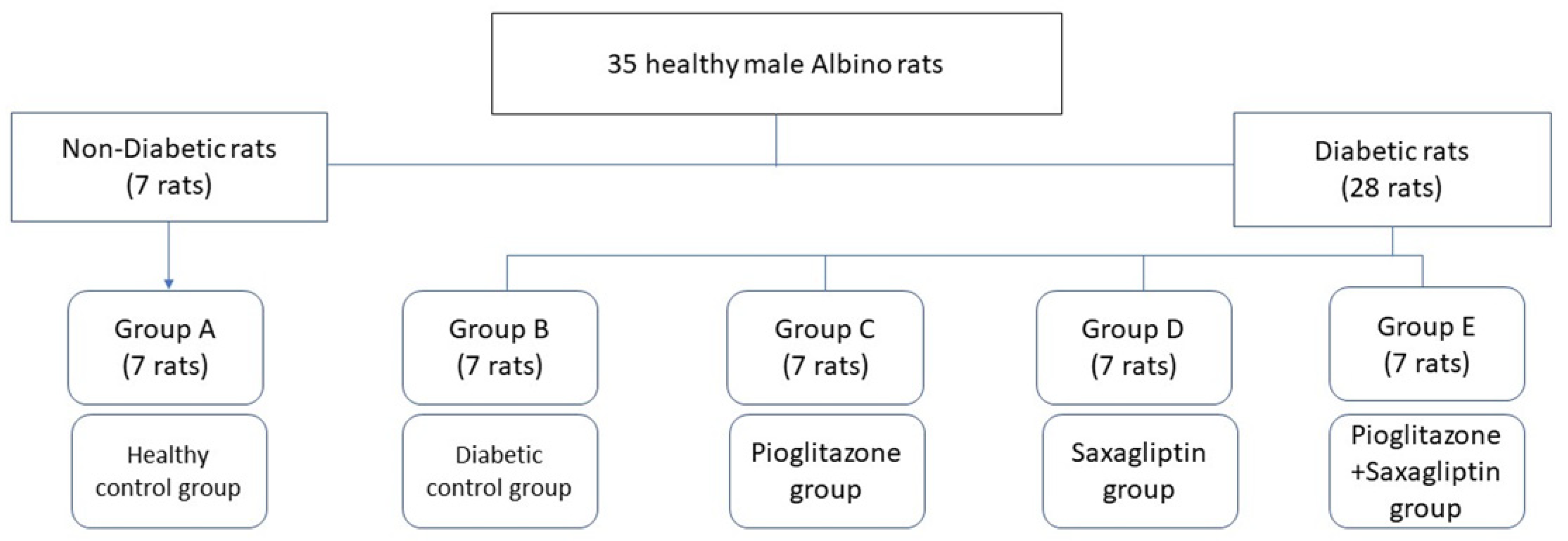Biomedicines 11 03300 g001