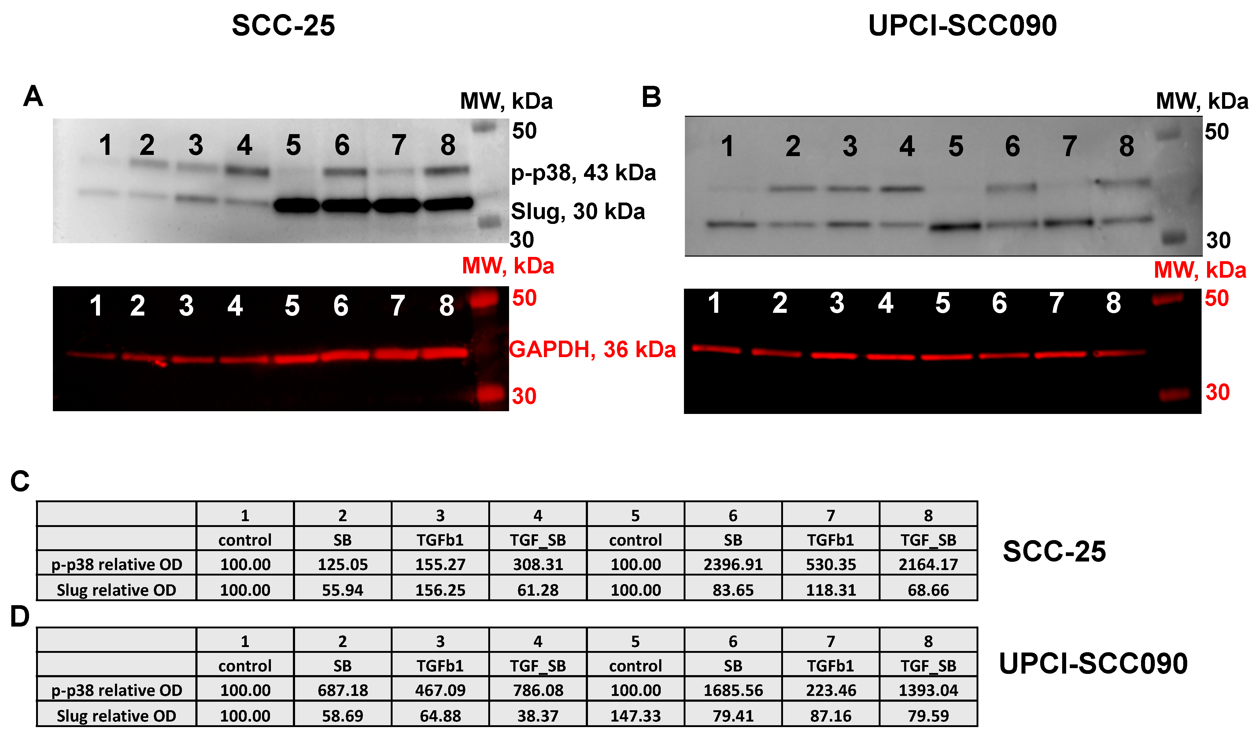 Biomedicines 11 03301 g001